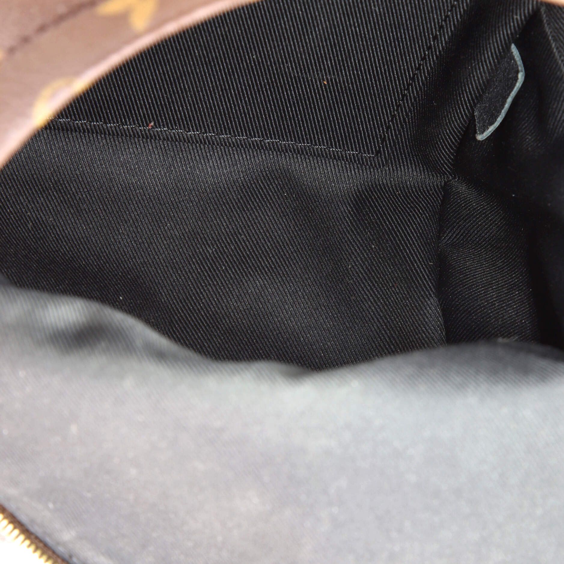 Louis Vuitton Palm Springs Backpack Size ONE SIZE - 5 Thumbnail