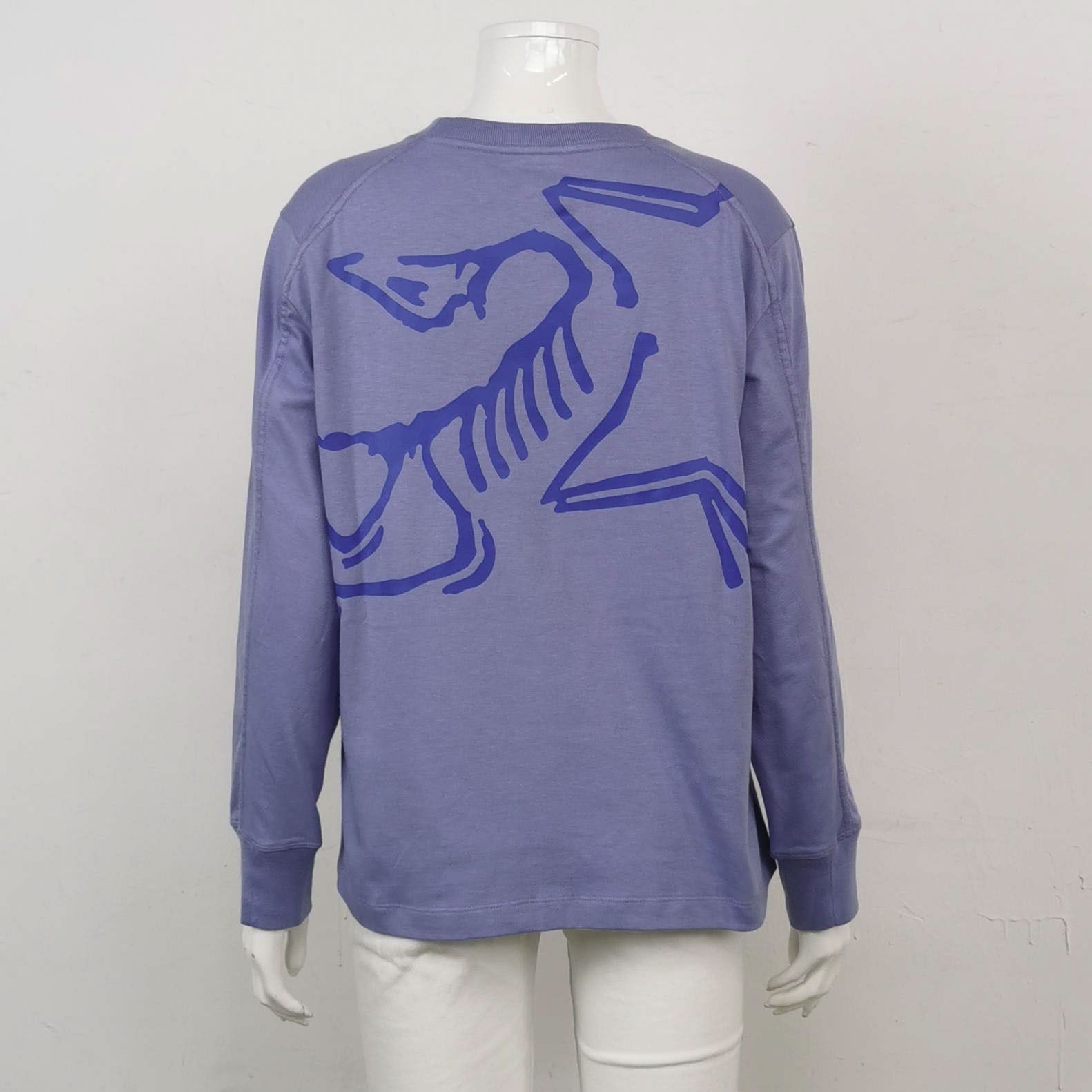 Arc'teryx Arc'teryx Kragg S Size Solid Blue Hoodie Size M / US 6-8 / IT 42-44 - 3 Thumbnail