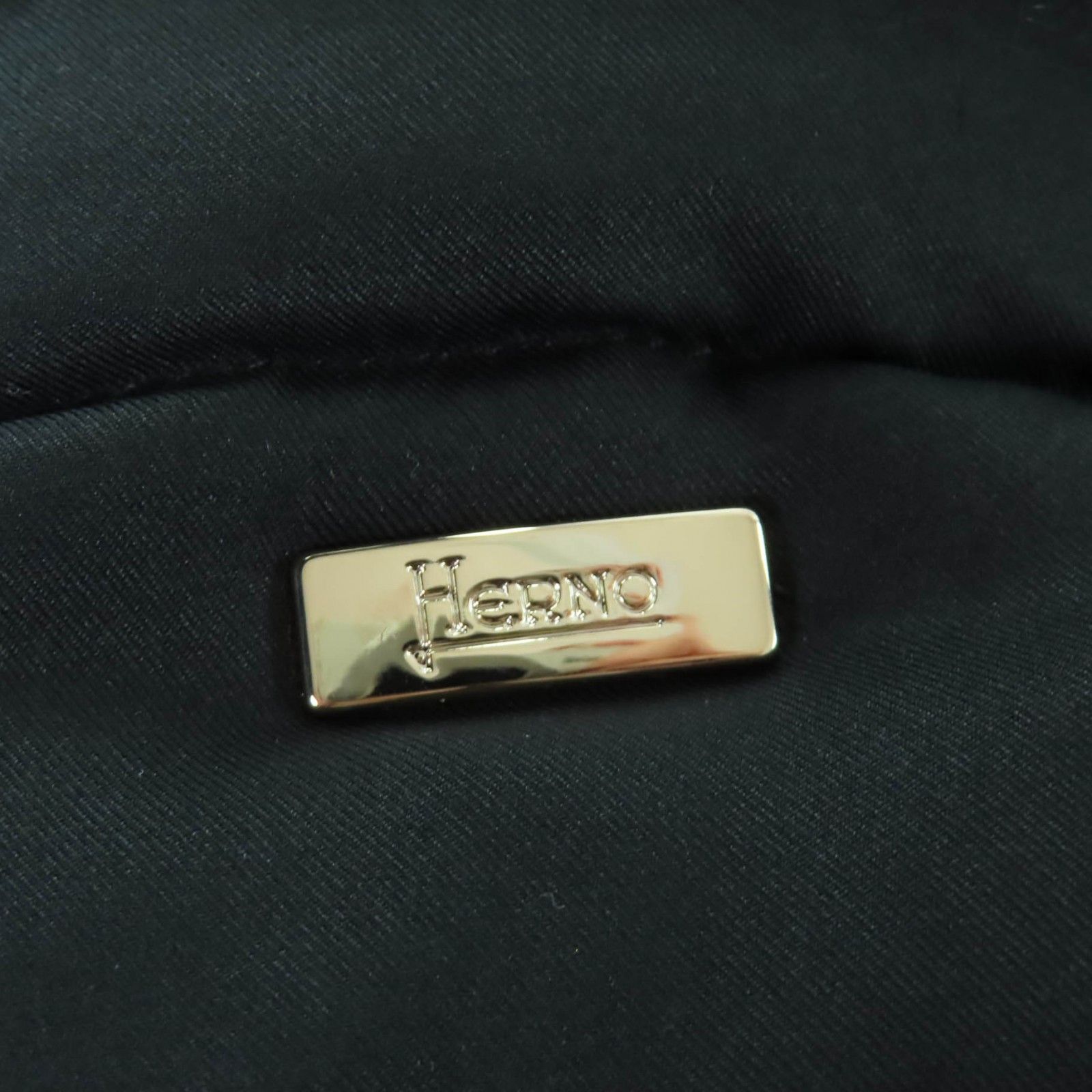 Other Other Herno PI1335D Polyester Fox Down Coat Textile Outerwear PI1335D DUTY FREE for USA Size ONE SIZE - 6 Thumbnail