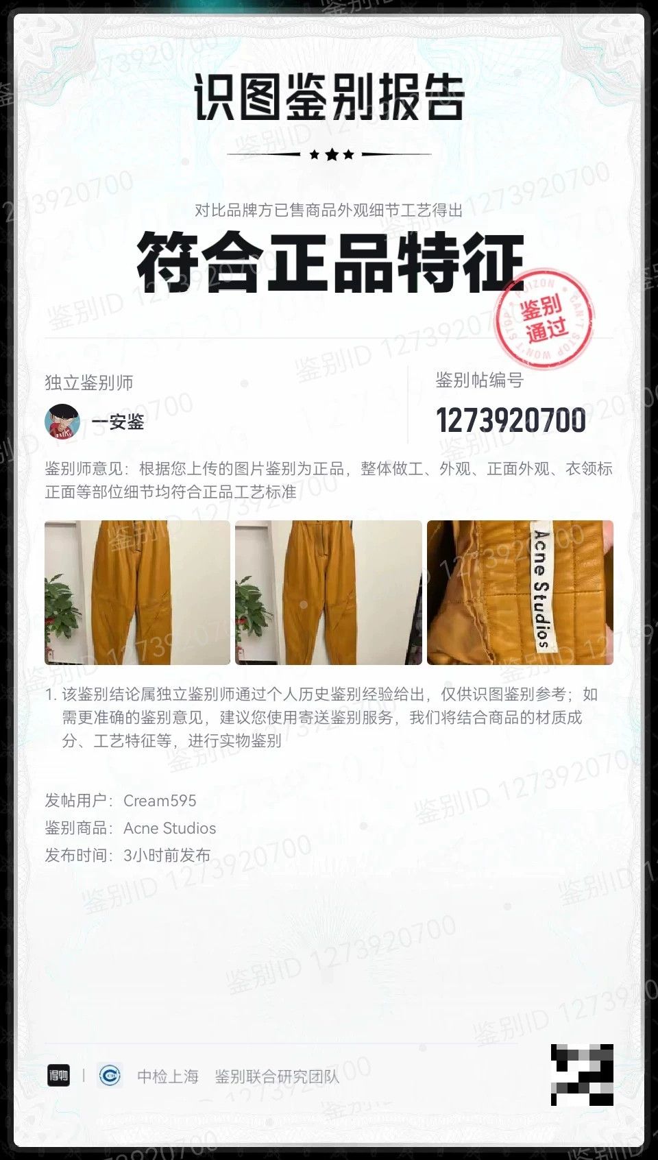 Acne Studios Acne Studios Orange Elastic Waist Cargo Pants Size 36" / US 14 / IT 50 - 9 Thumbnail
