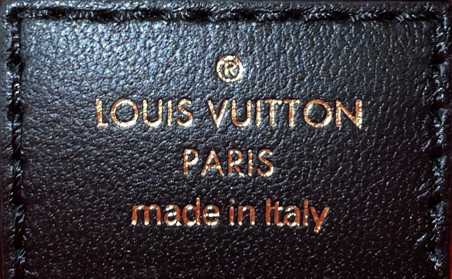 Louis Vuitton Coussin Bag Size ONE SIZE - 7 Thumbnail