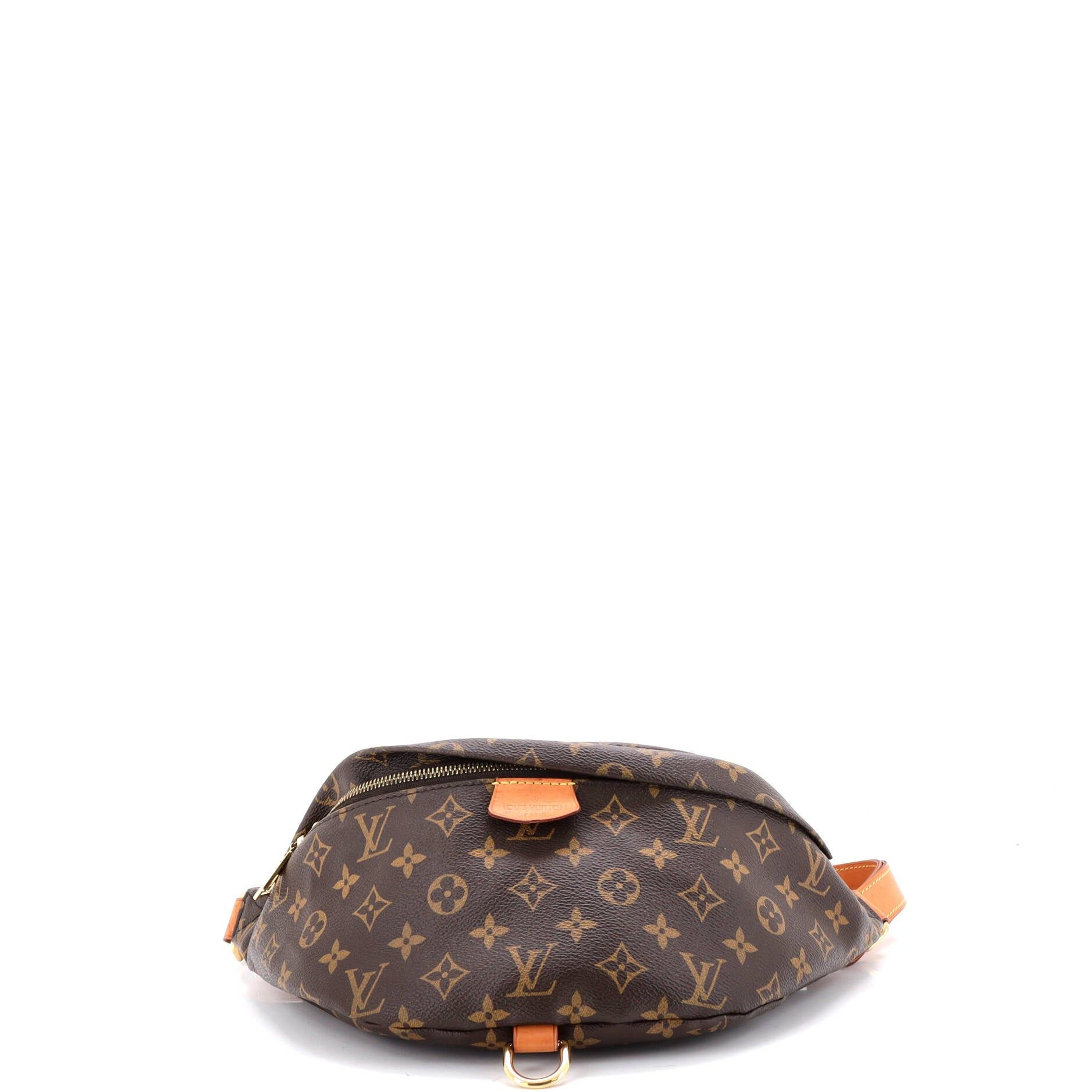 Louis Vuitton Bum Bag Size ONE SIZE - 4 Thumbnail