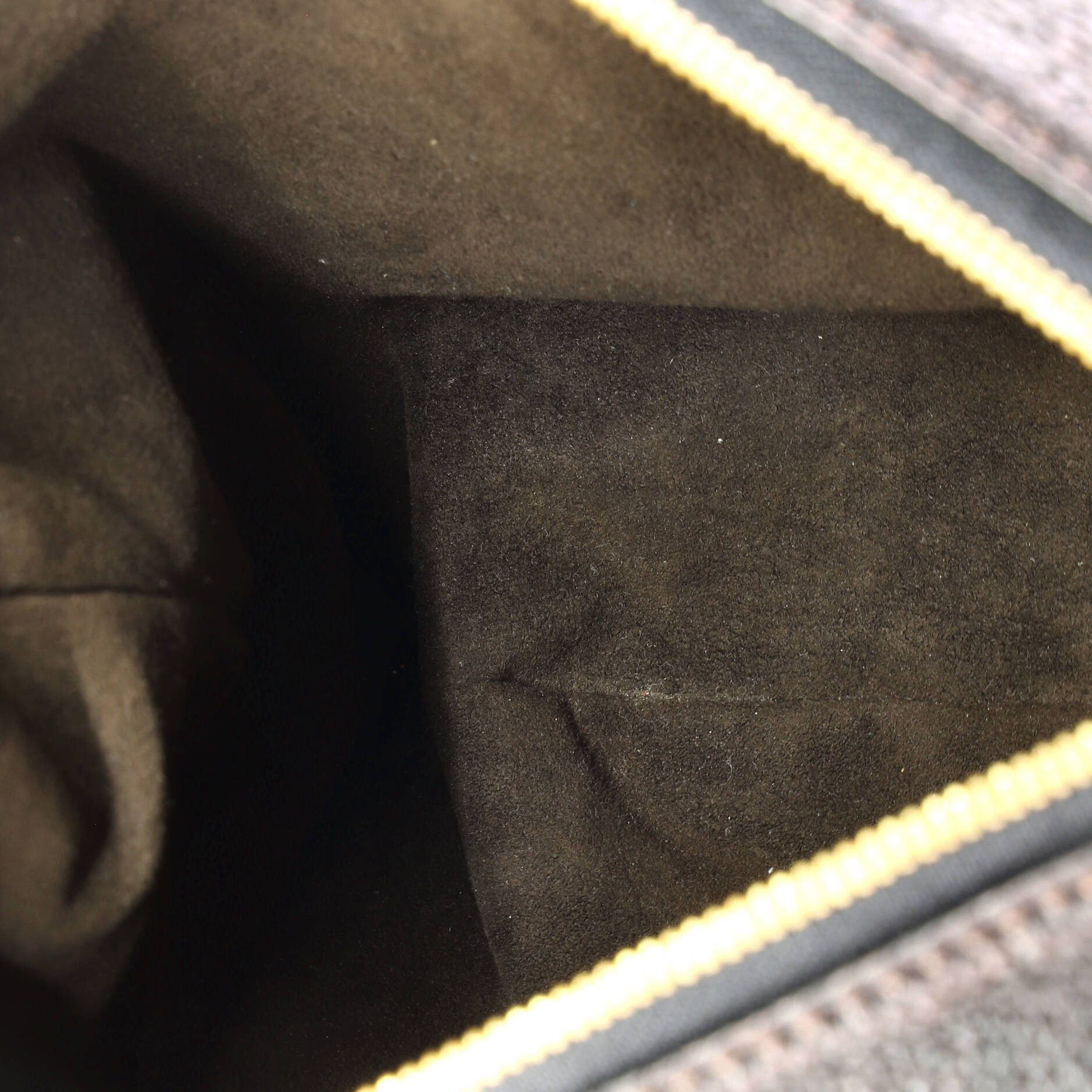 Louis Vuitton Selene Handbag Size ONE SIZE - 5 Thumbnail