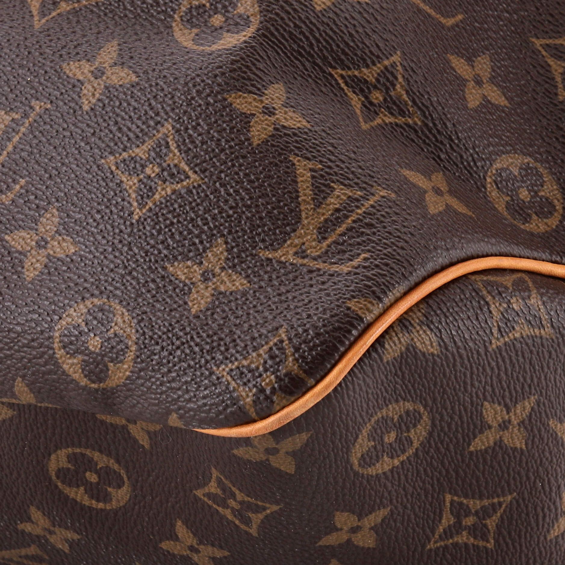 Louis Vuitton Delightful Handbag Size ONE SIZE - 6 Thumbnail