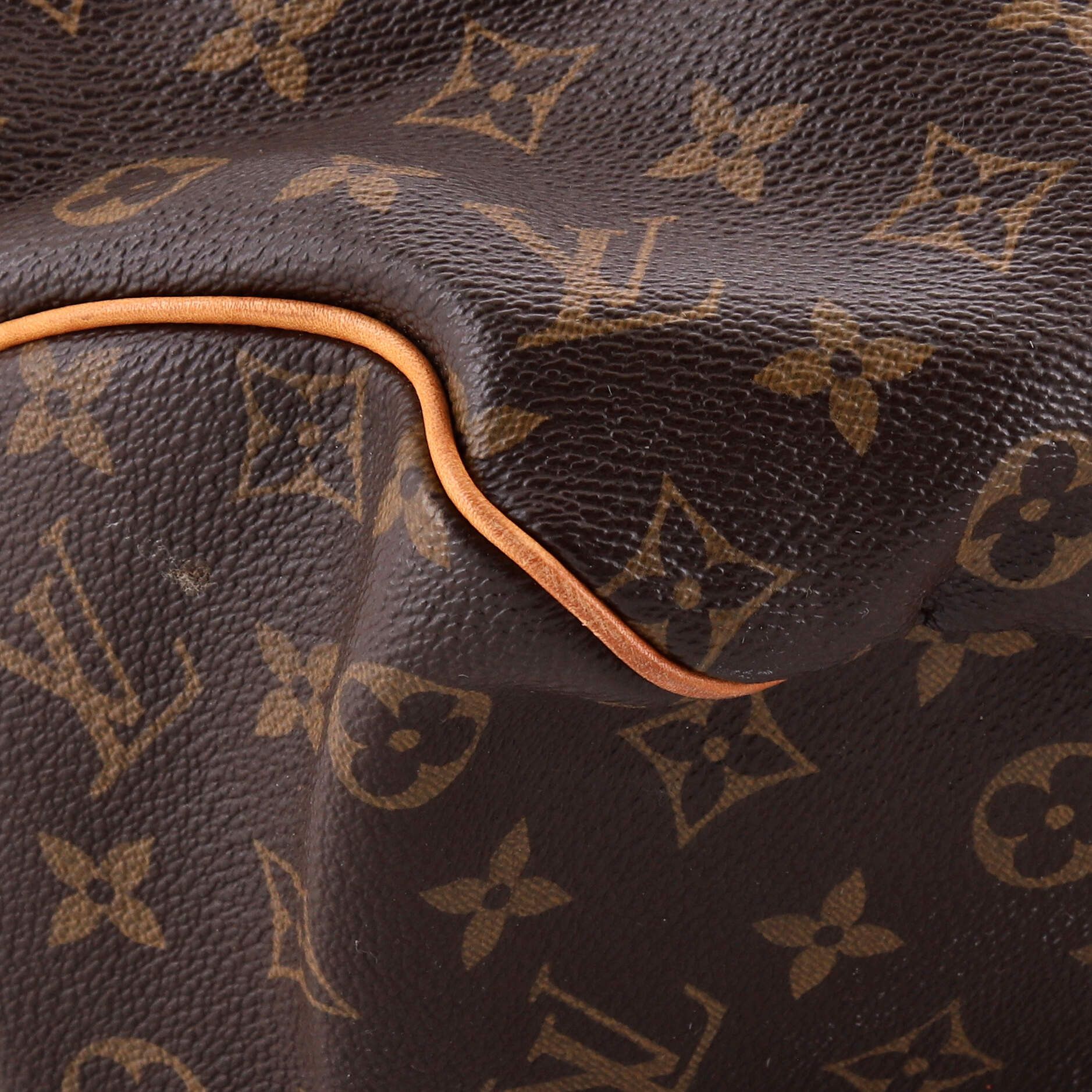 Louis Vuitton Delightful Handbag Size ONE SIZE - 7 Thumbnail