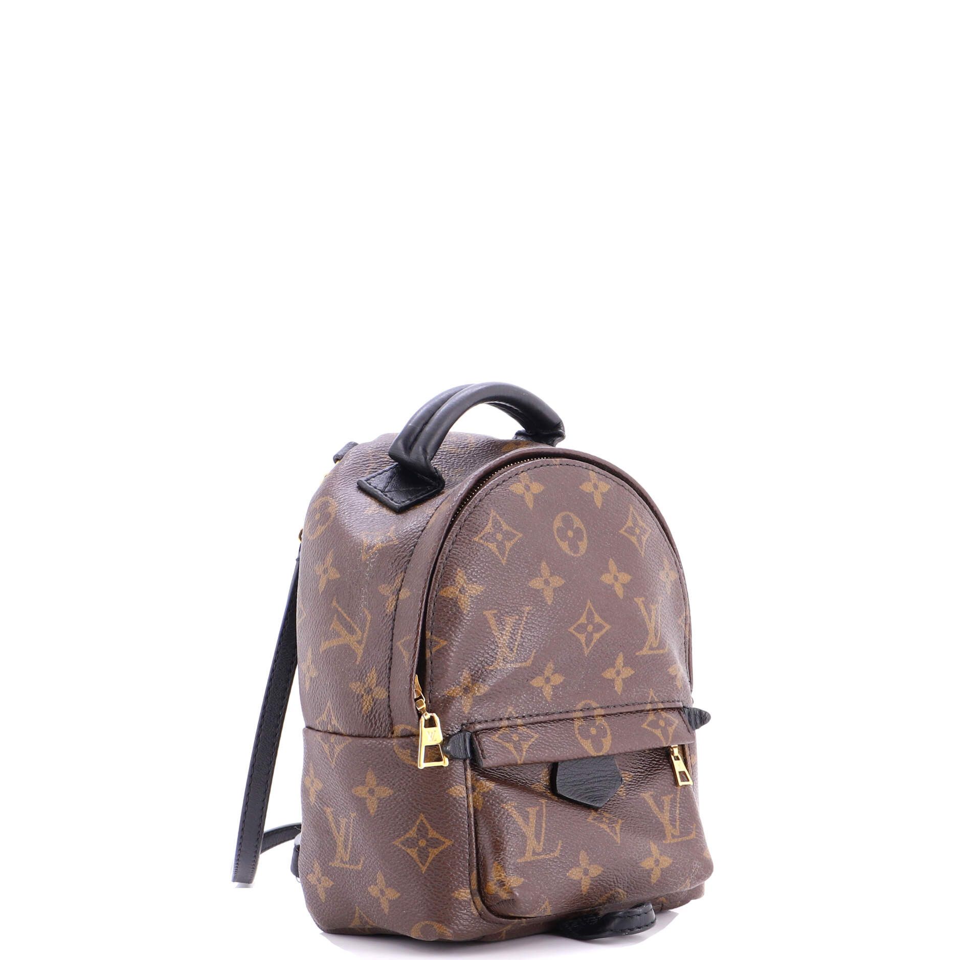 Louis Vuitton Palm Springs Backpack Size ONE SIZE - 2 Thumbnail