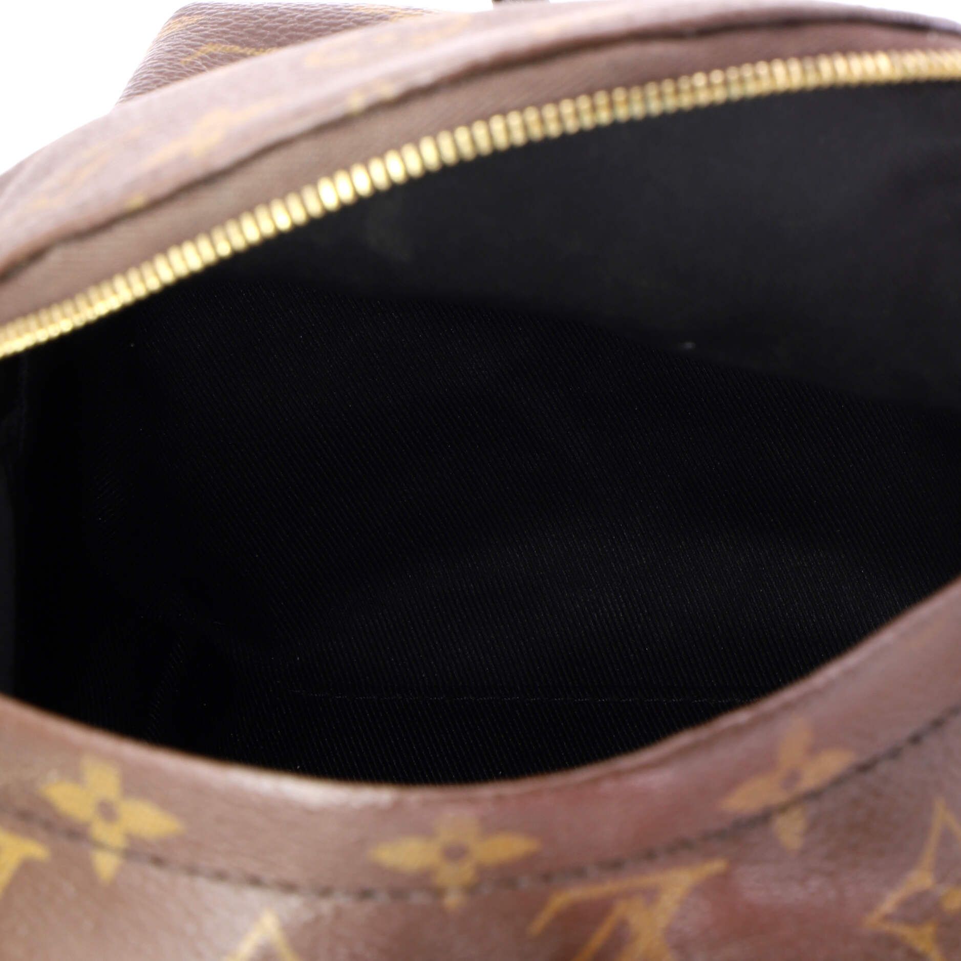 Louis Vuitton Palm Springs Backpack Size ONE SIZE - 5 Thumbnail