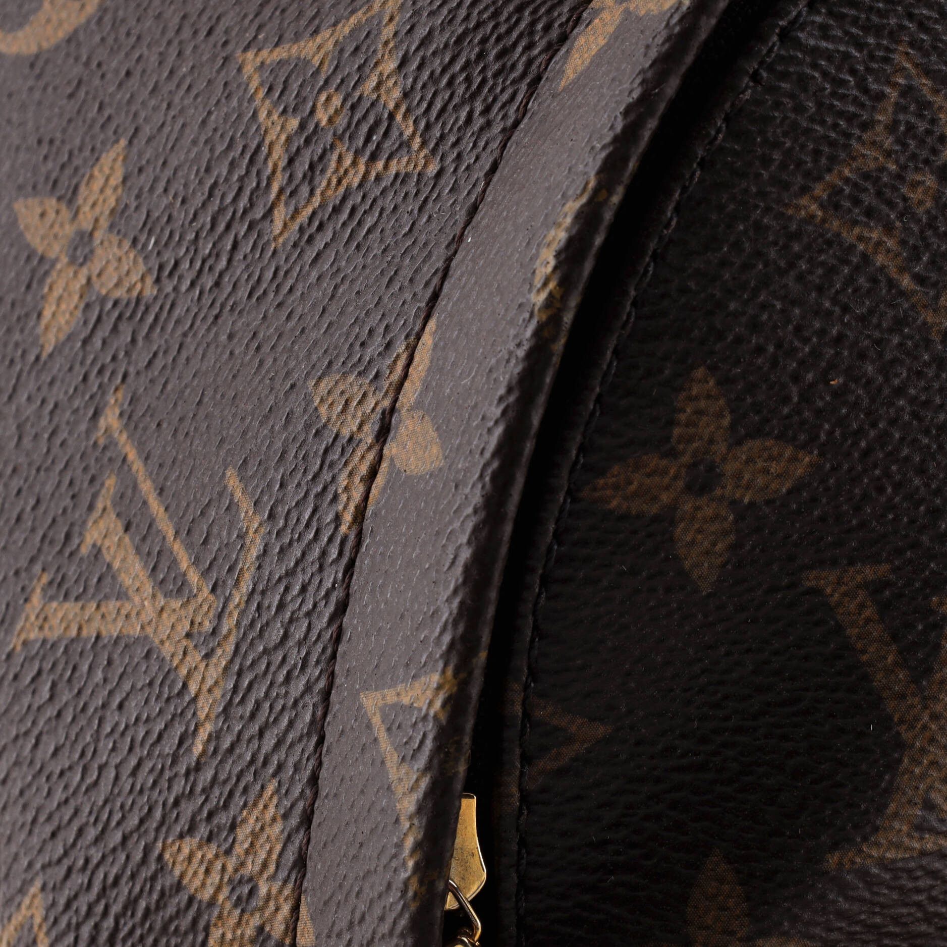 Louis Vuitton Palm Springs Backpack Size ONE SIZE - 6 Thumbnail