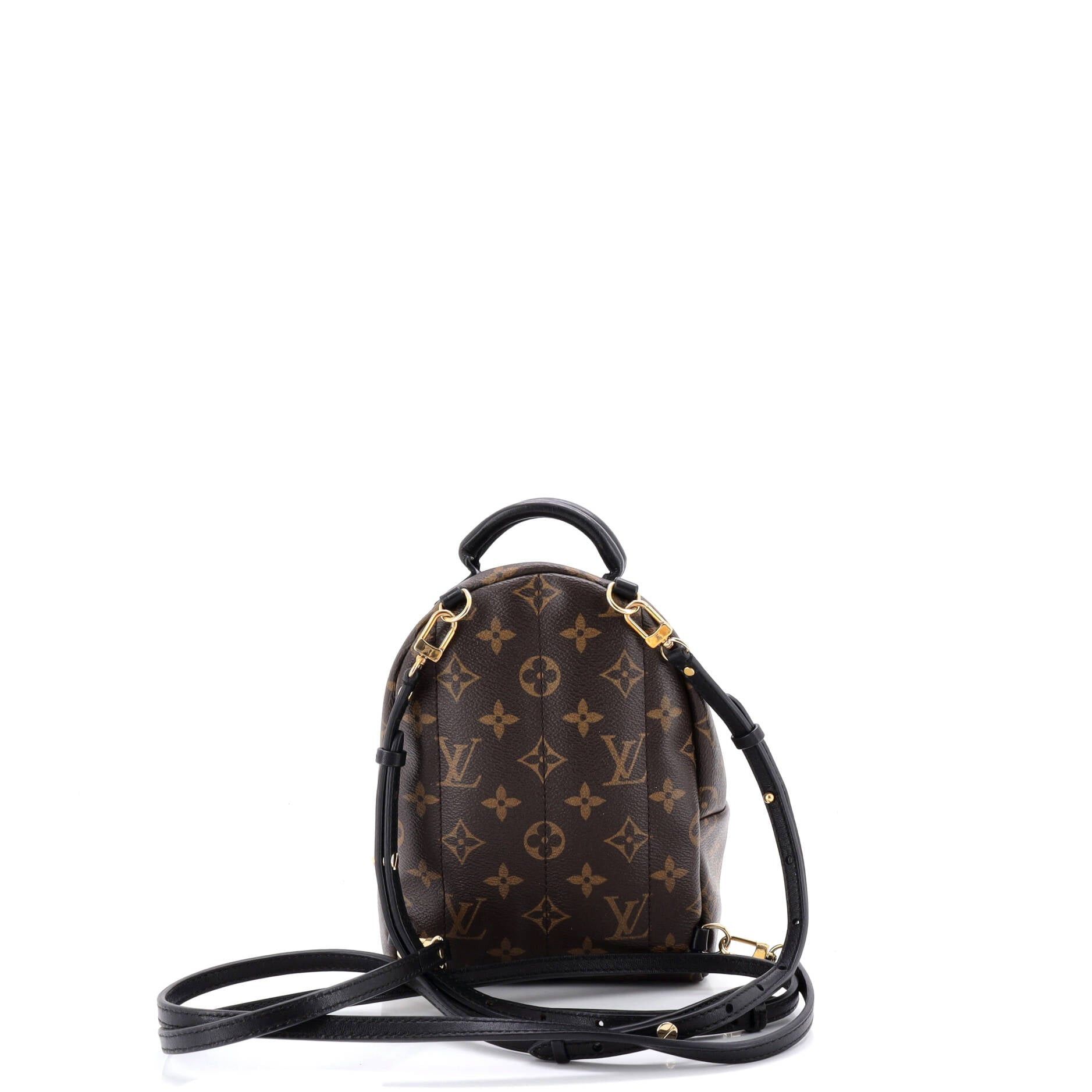 Louis Vuitton Palm Springs Backpack Size ONE SIZE - 3 Thumbnail