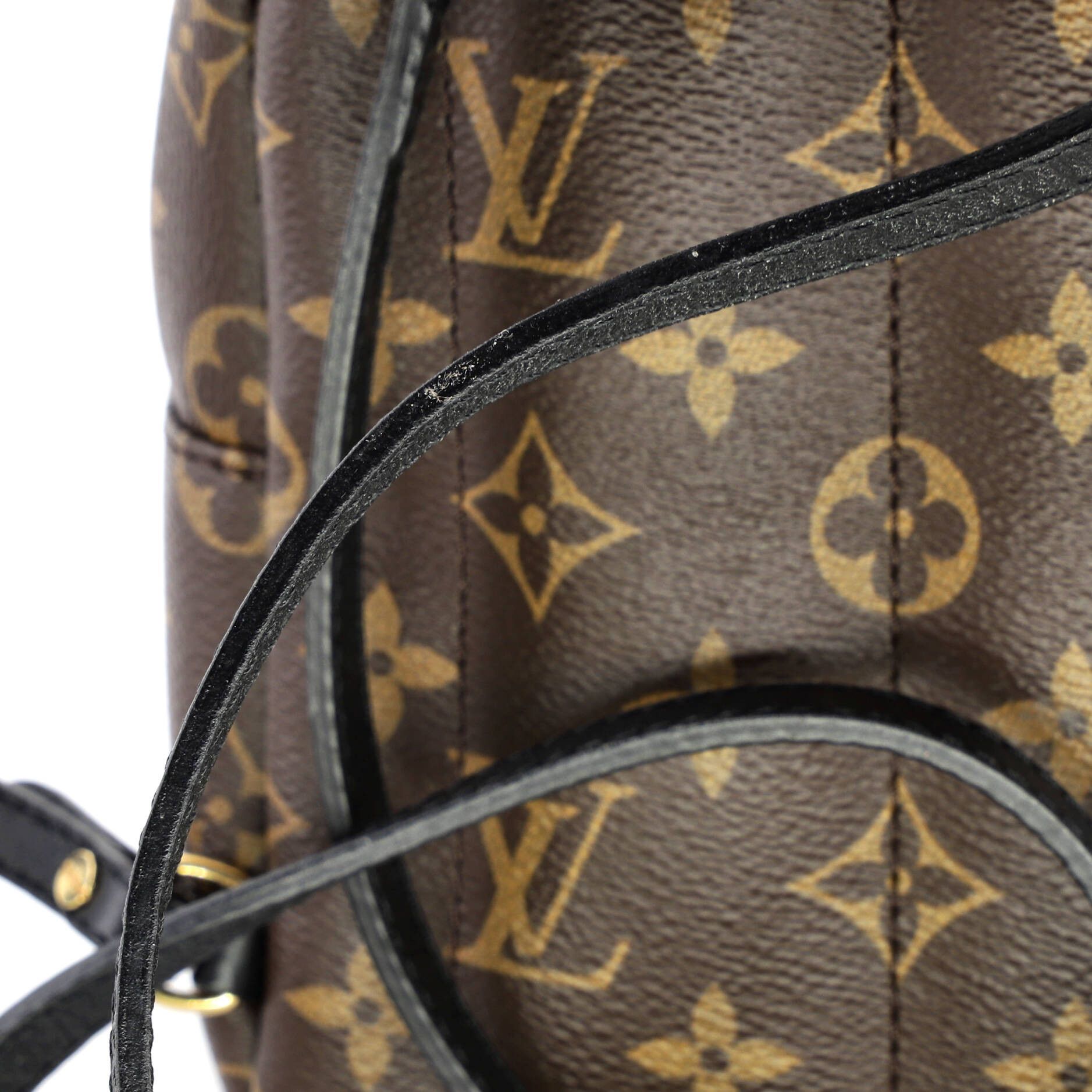 Louis Vuitton Palm Springs Backpack Size ONE SIZE - 7 Thumbnail
