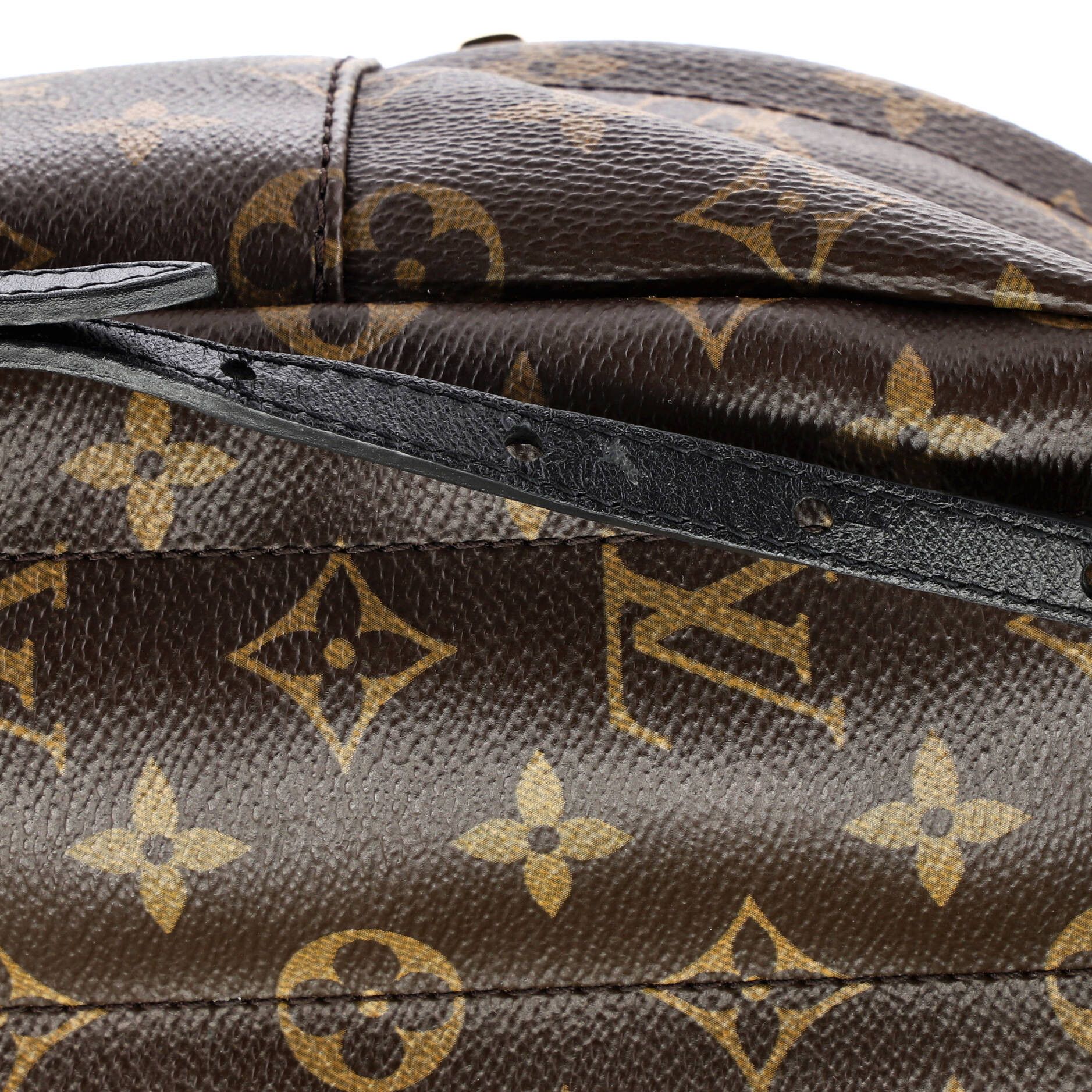 Louis Vuitton Palm Springs Backpack Size ONE SIZE - 8 Thumbnail