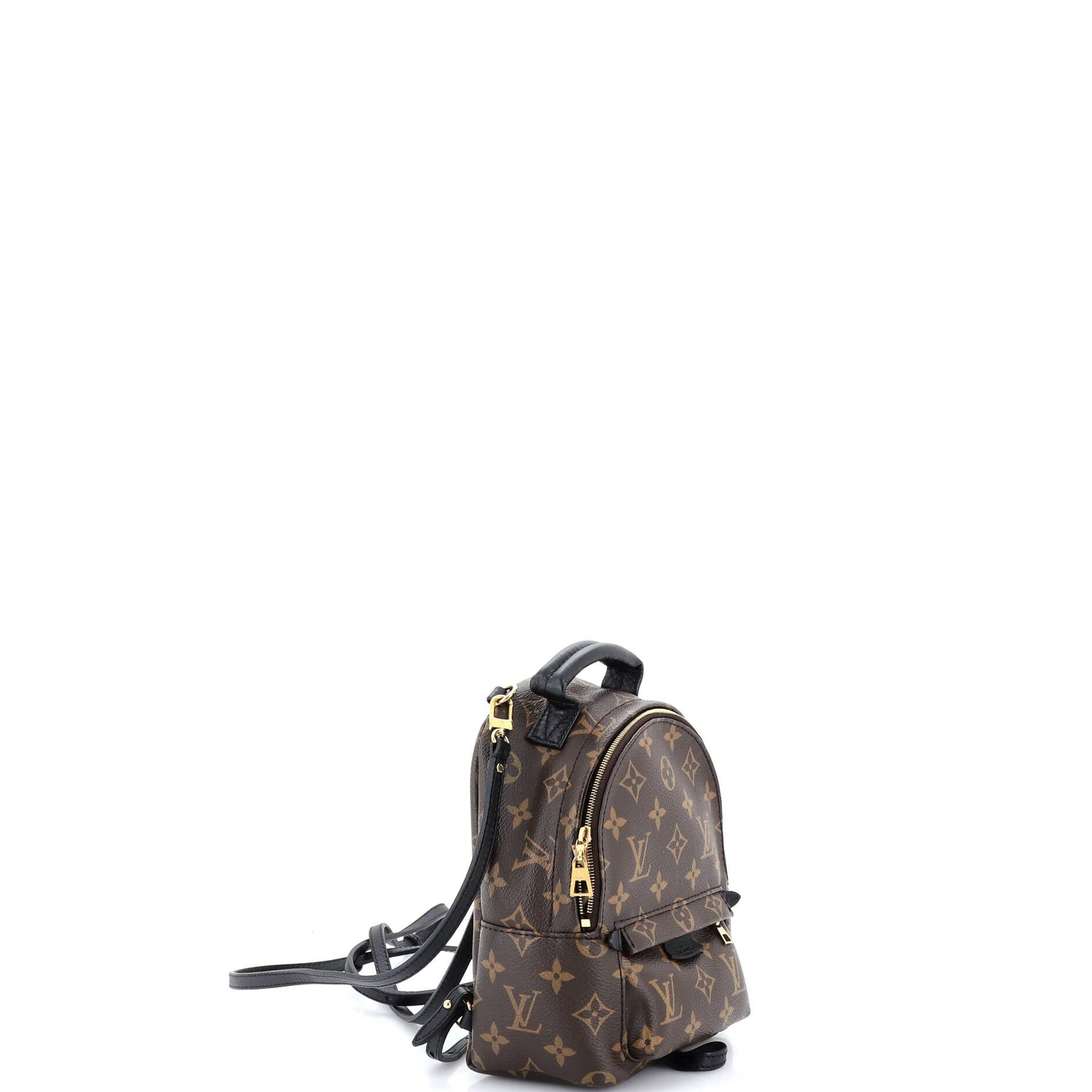 Louis Vuitton Palm Springs Backpack Size ONE SIZE - 2 Thumbnail