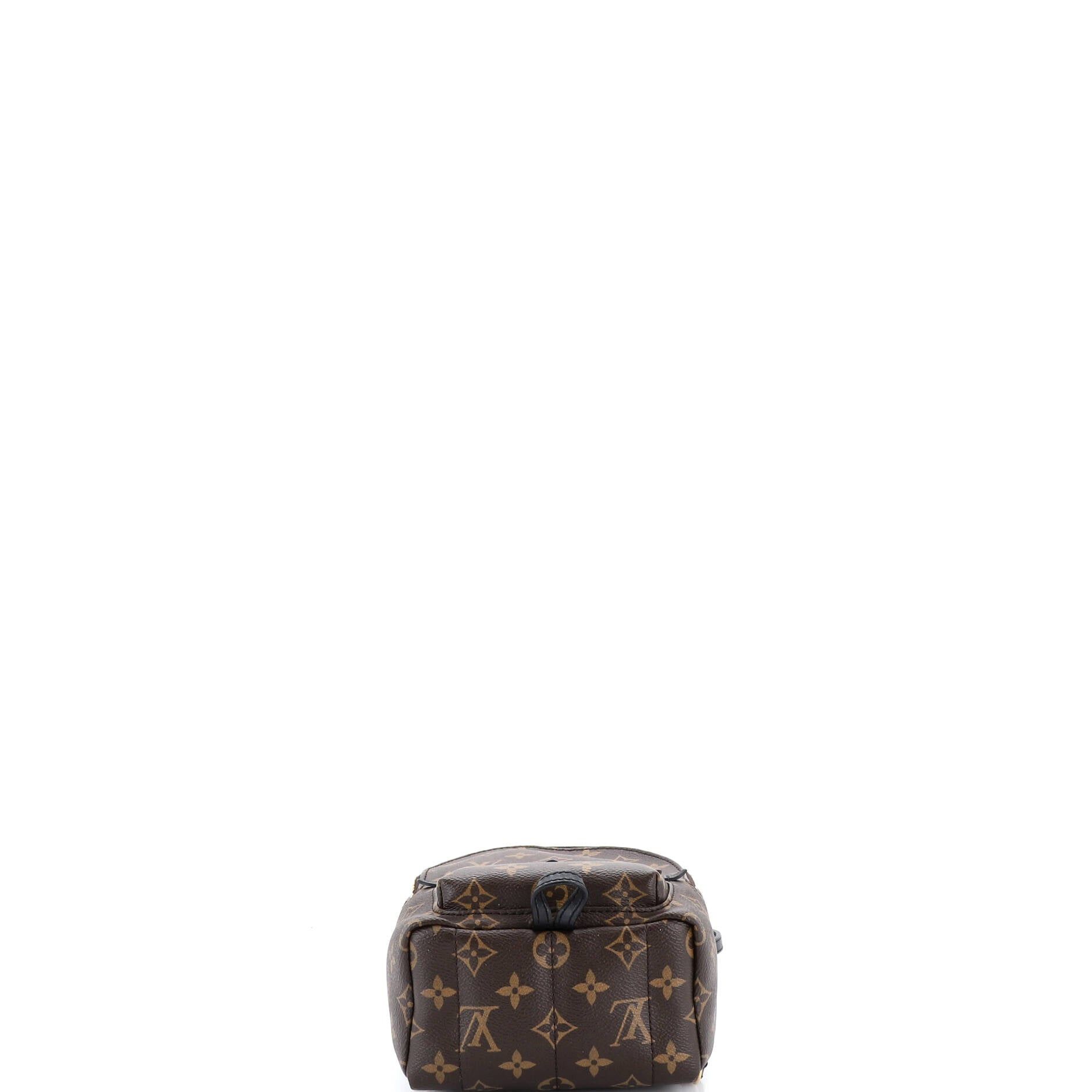 Louis Vuitton Palm Springs Backpack Size ONE SIZE - 4 Thumbnail