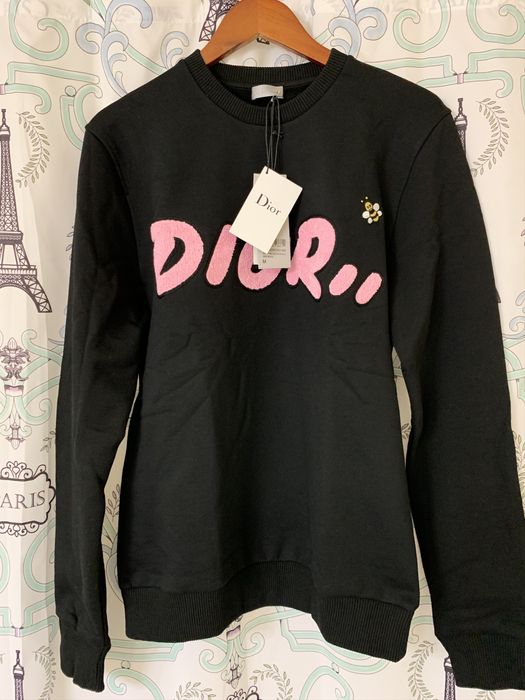 Dior store kaws sweatshirt