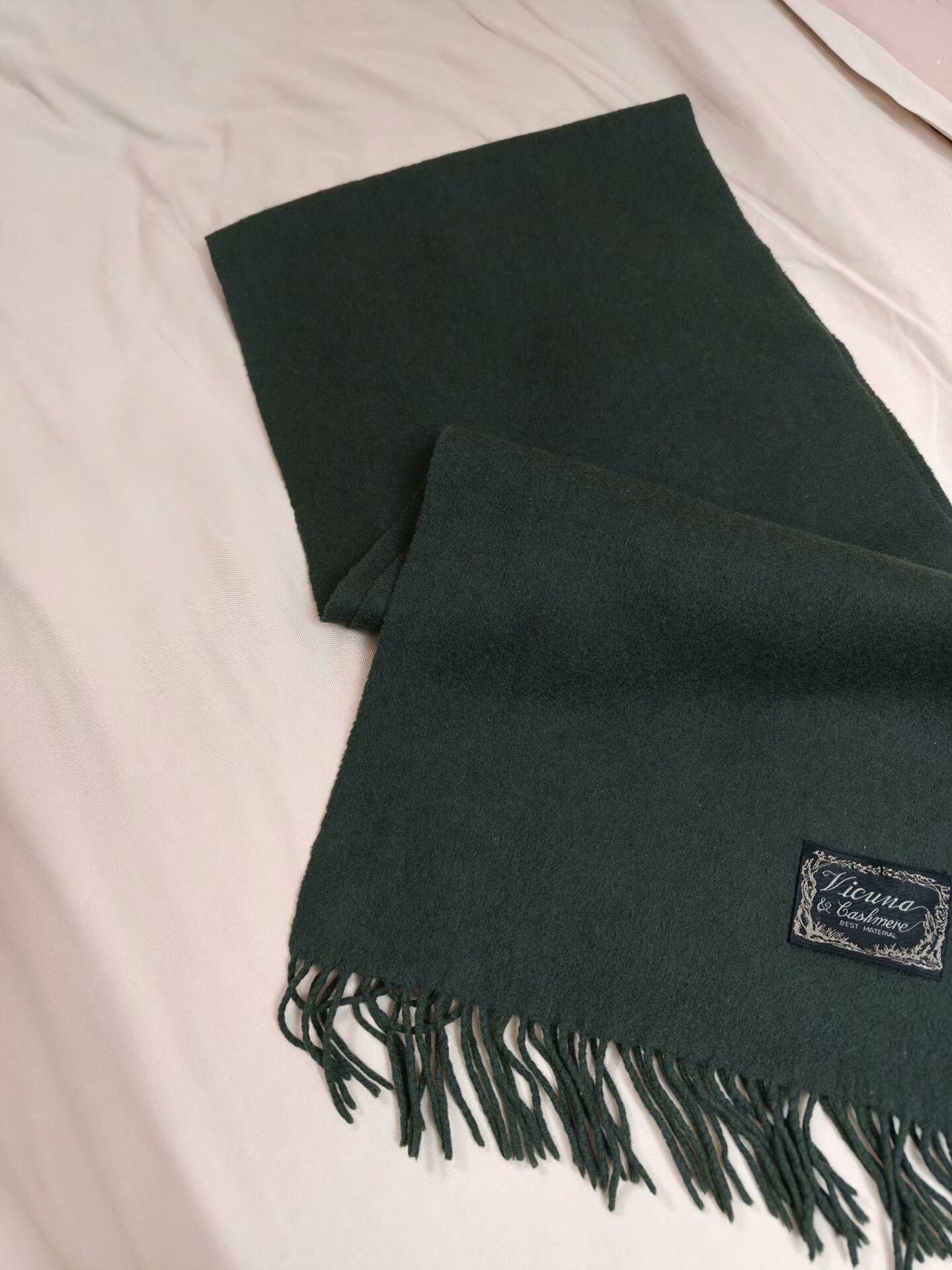 Extreme Cashmere Vicuna Cashmere Blend Green Scarf Size ONE SIZE - 2 Thumbnail