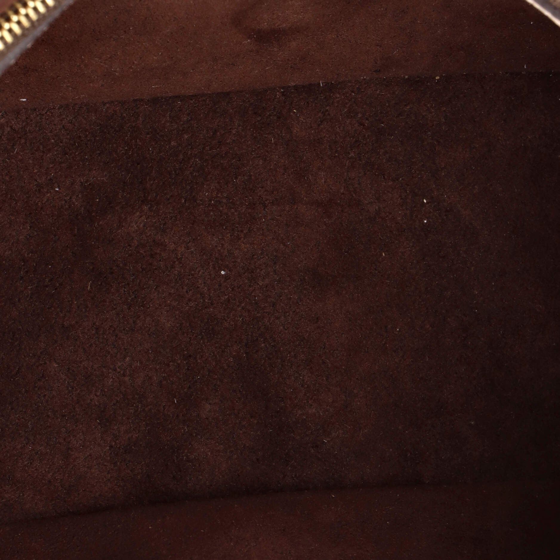 Louis Vuitton Diane NM Handbag Size ONE SIZE - 5 Thumbnail