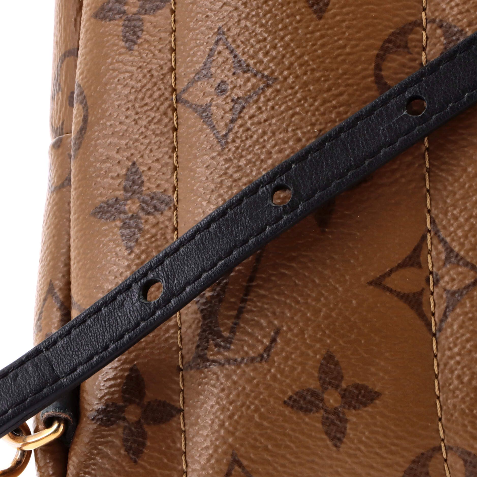 Louis Vuitton Palm Springs Backpack Size ONE SIZE - 6 Thumbnail