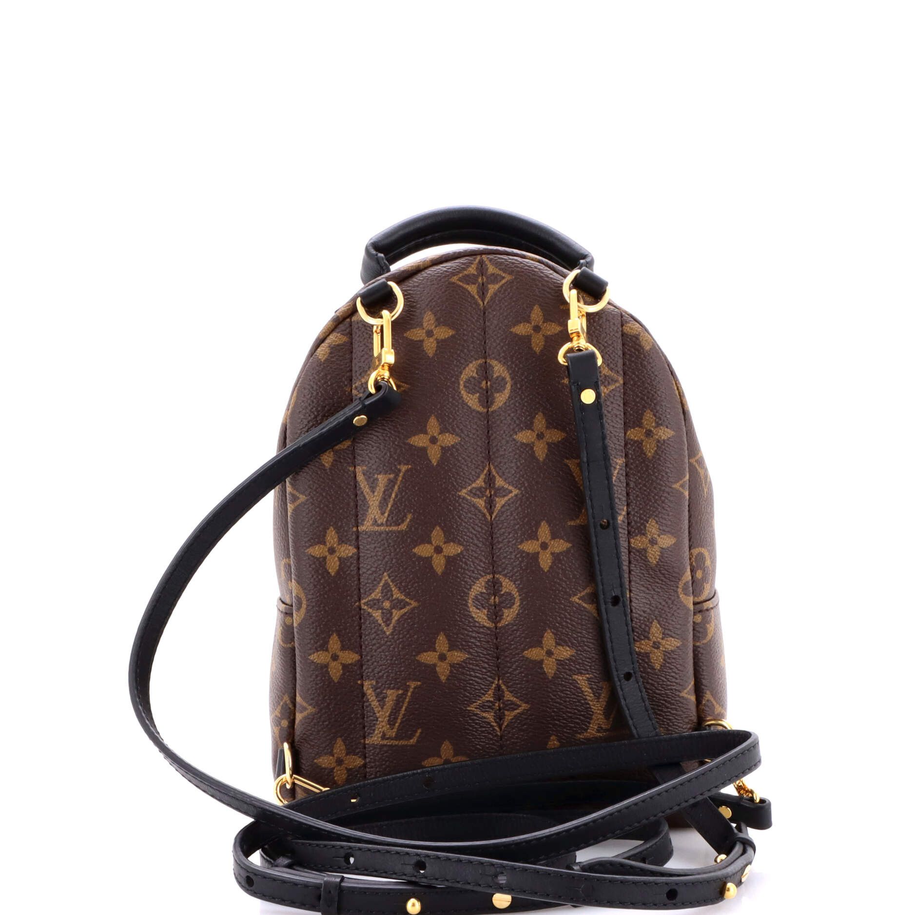 Louis Vuitton Palm Springs Backpack Size ONE SIZE - 3 Thumbnail