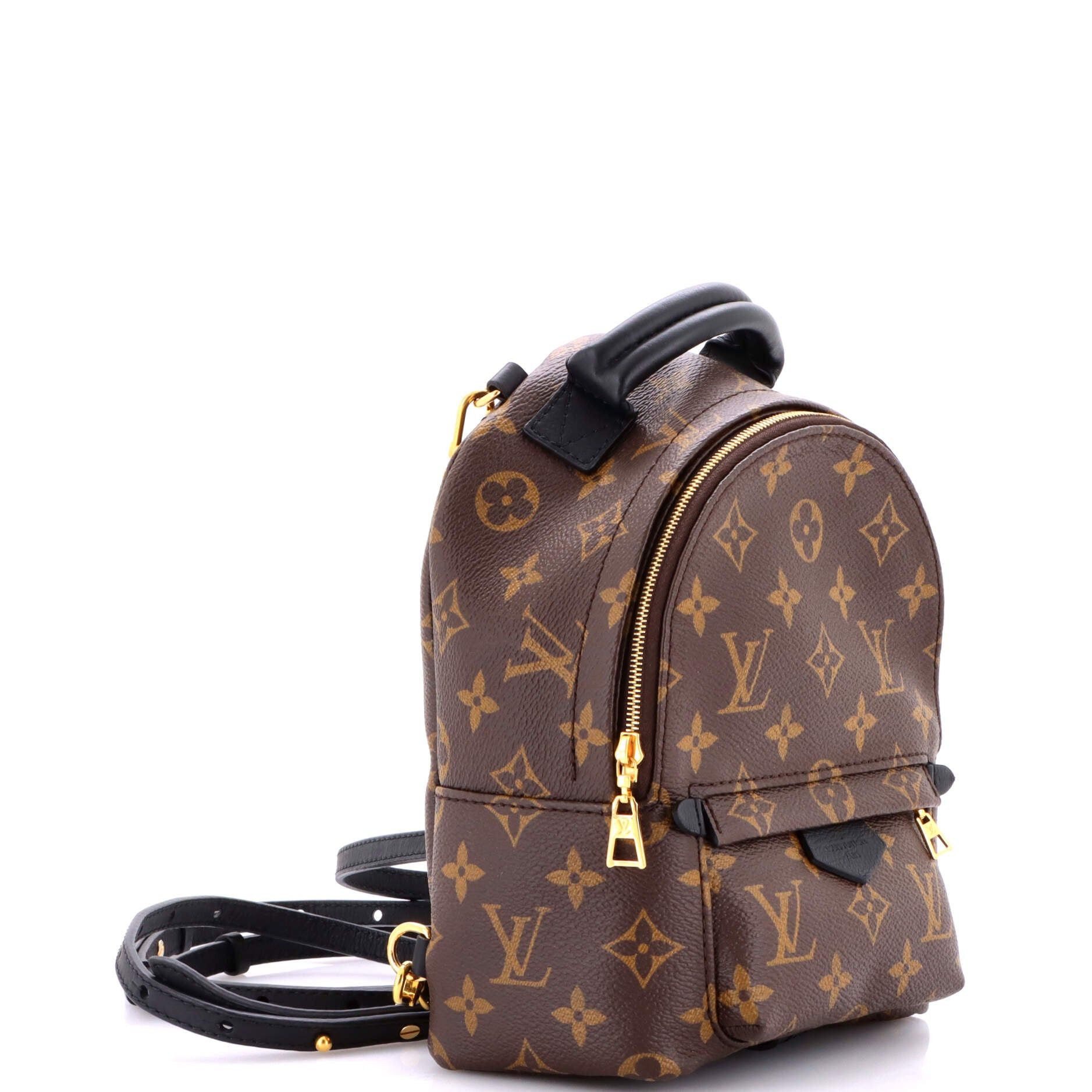 Louis Vuitton Palm Springs Backpack Size ONE SIZE - 2 Thumbnail