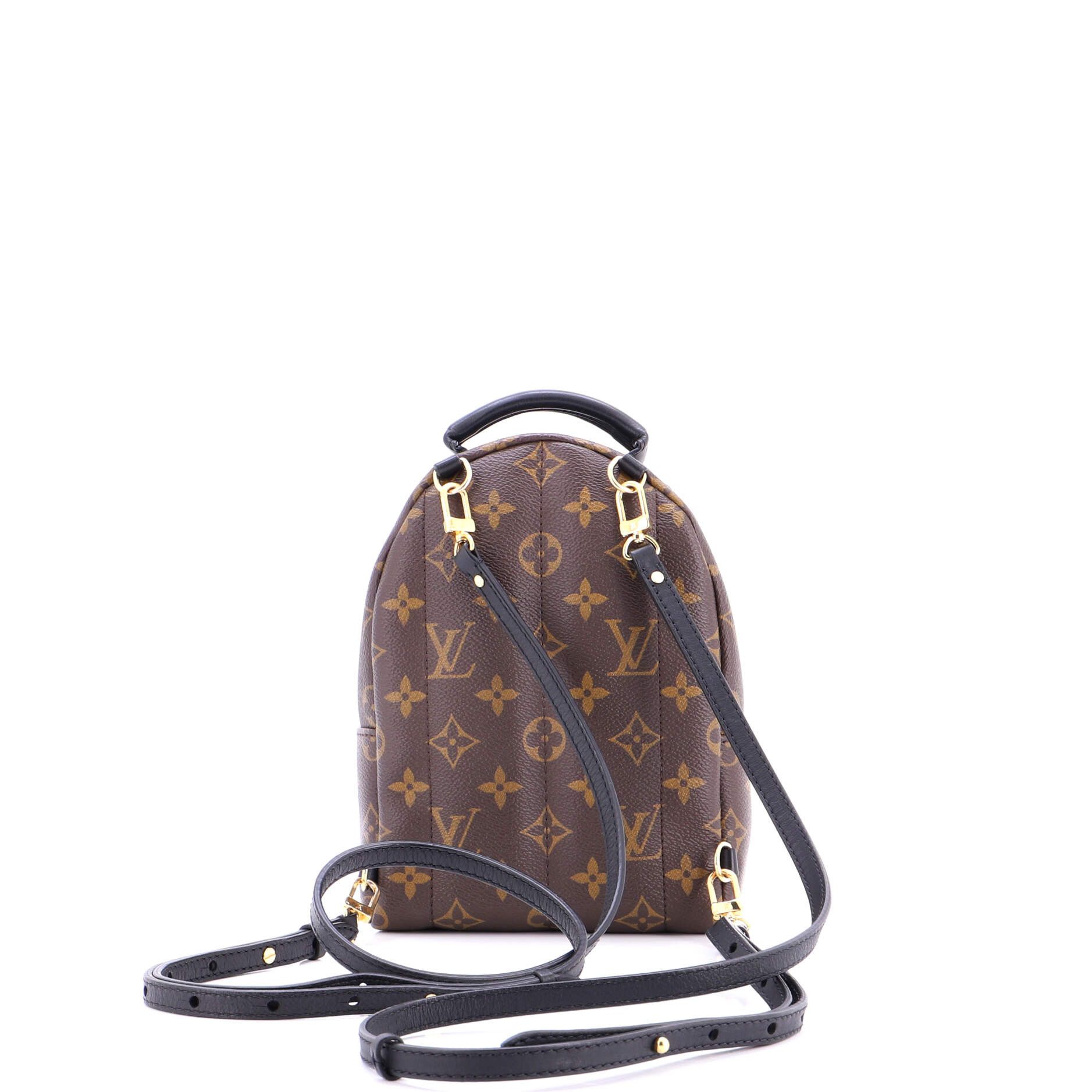 Louis Vuitton Palm Springs Backpack Size ONE SIZE - 3 Thumbnail