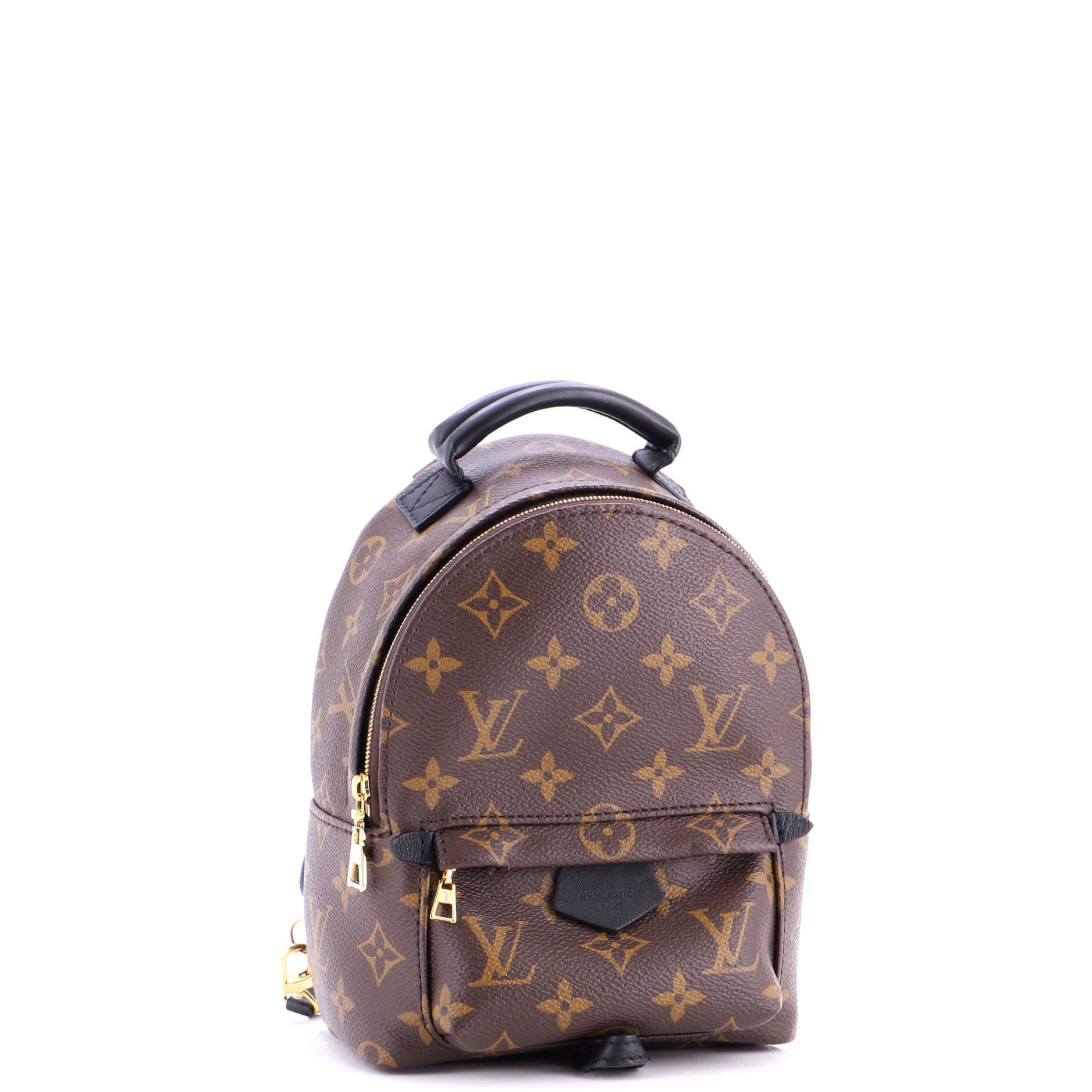 Louis Vuitton Palm Springs Backpack Size ONE SIZE - 2 Thumbnail