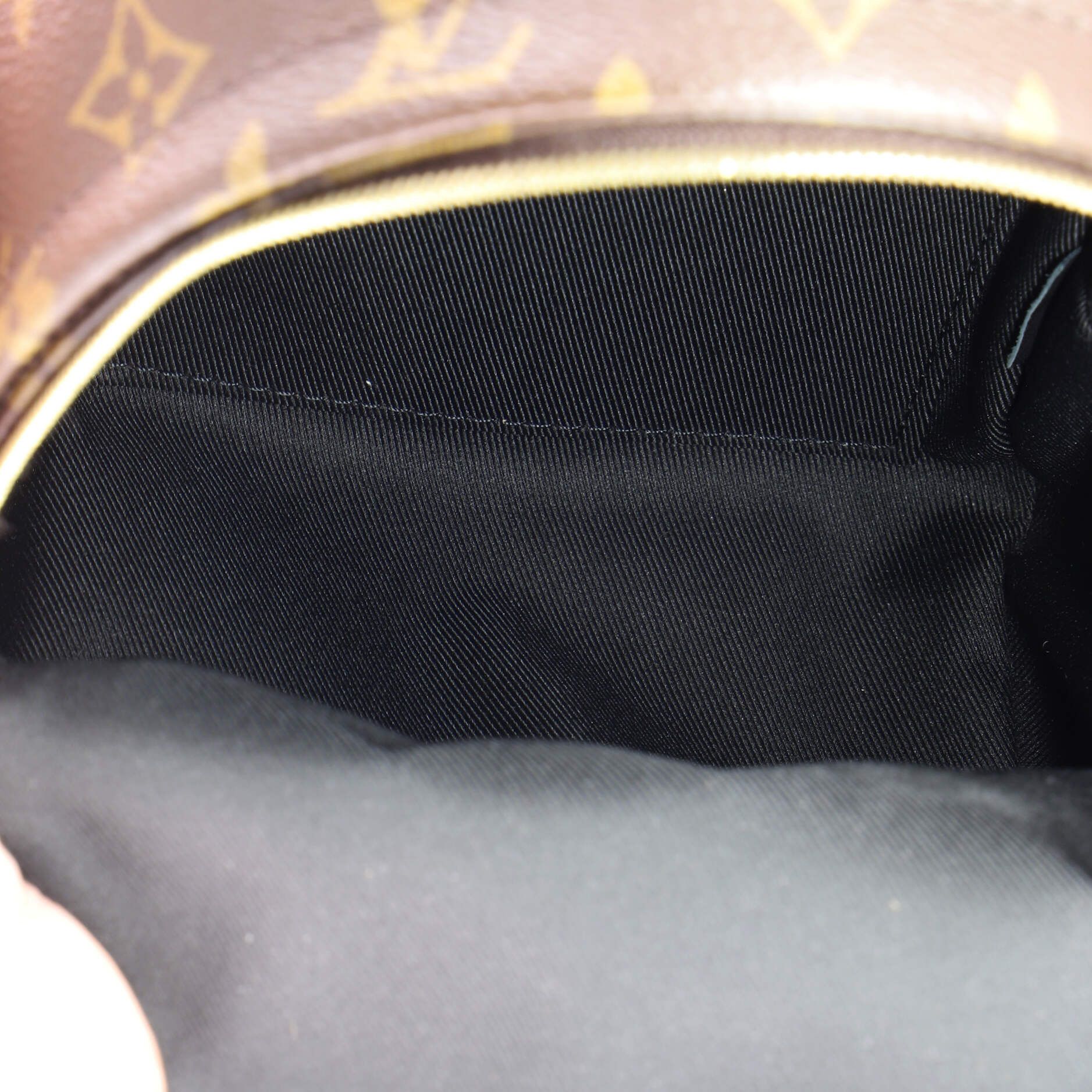 Louis Vuitton Palm Springs Backpack Size ONE SIZE - 5 Thumbnail