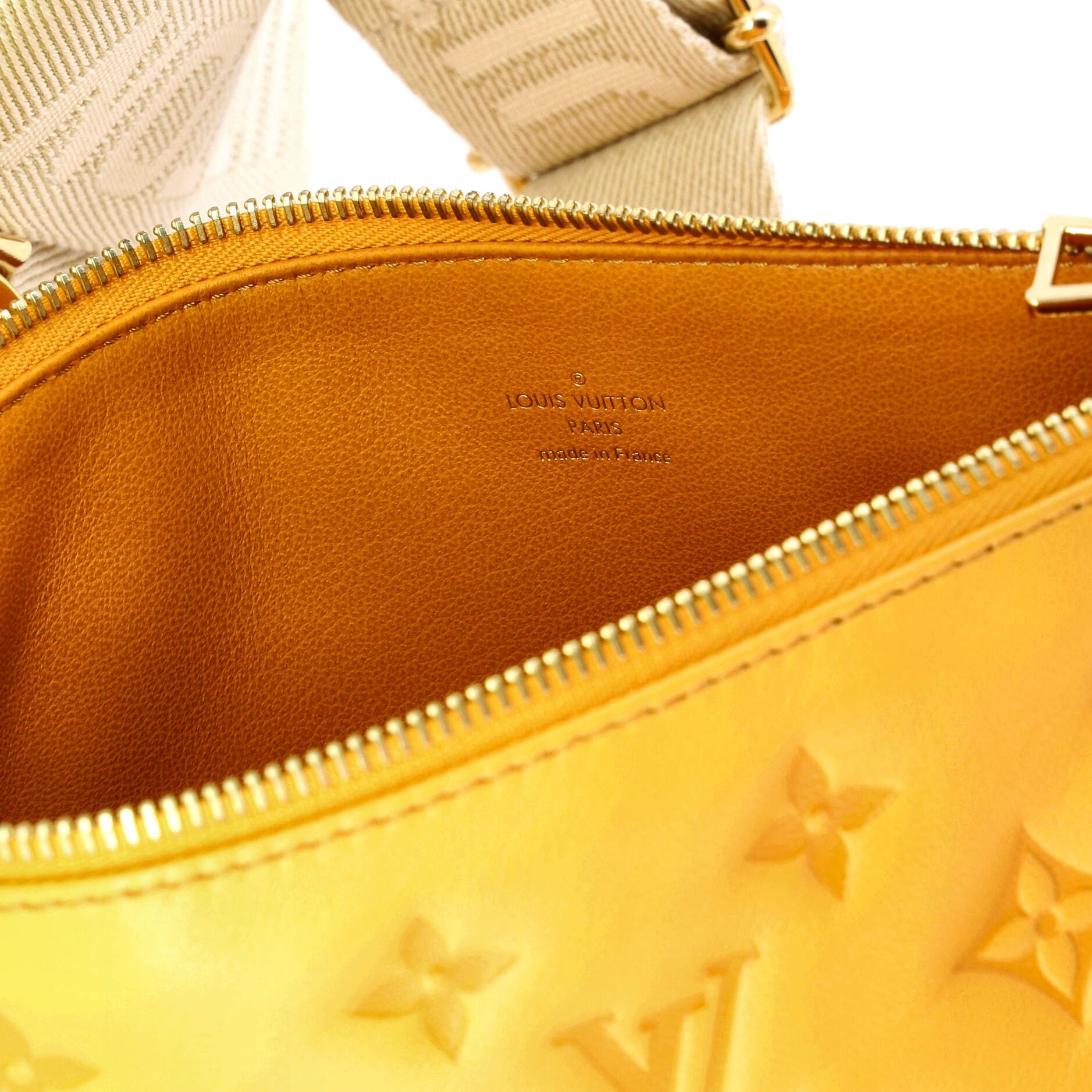 Louis Vuitton Coussin Bag Size ONE SIZE - 6 Thumbnail