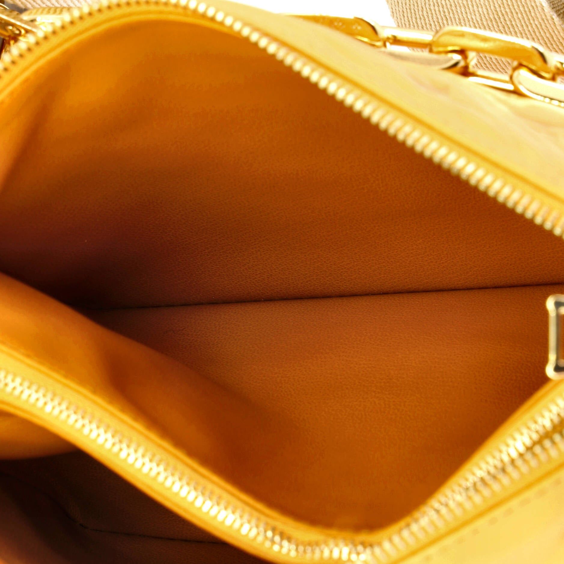 Louis Vuitton Coussin Bag Size ONE SIZE - 5 Thumbnail