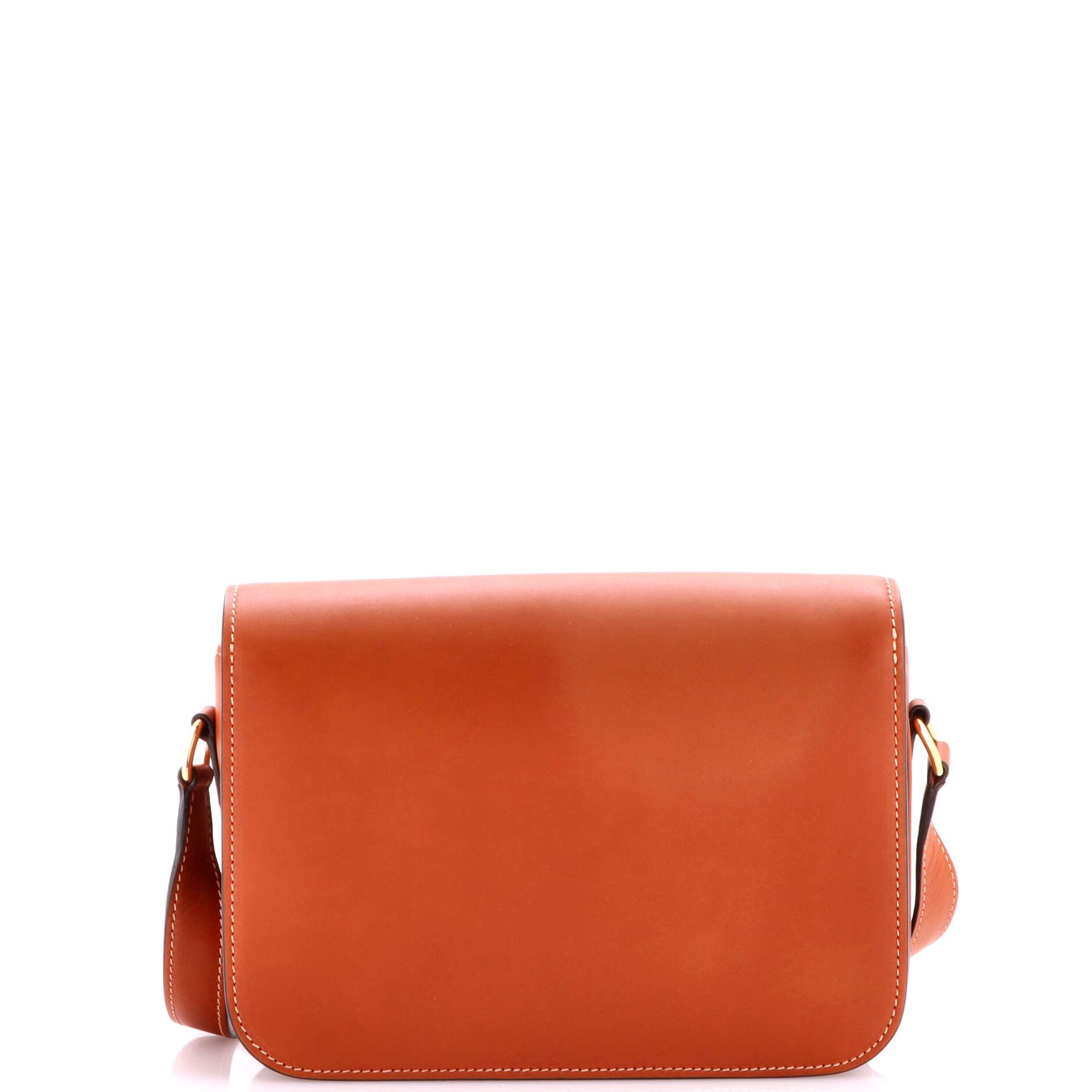 Celine Triomphe Shoulder Bag Size ONE SIZE - 3 Thumbnail