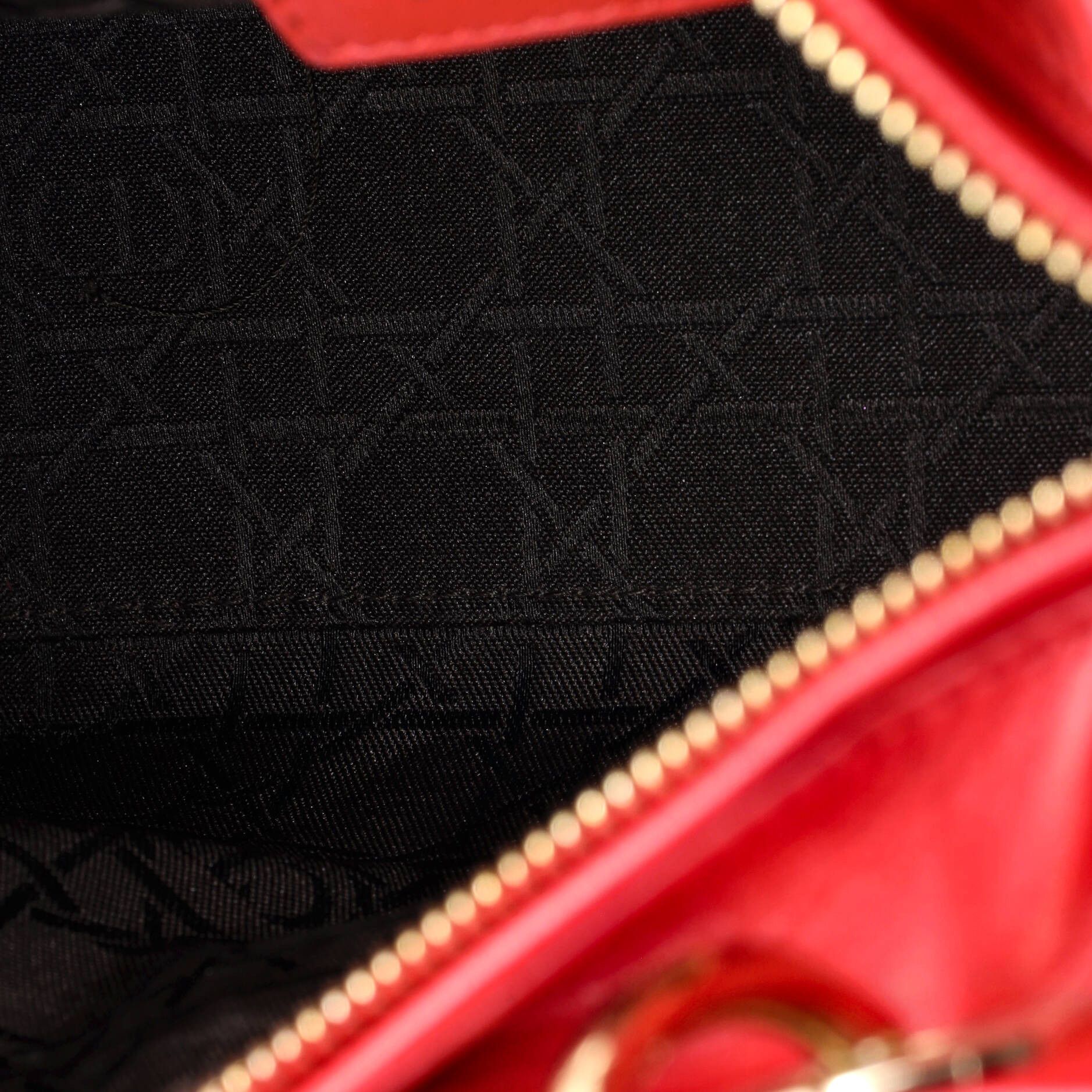 Dior Lady Dior Bag Size ONE SIZE - 5 Thumbnail