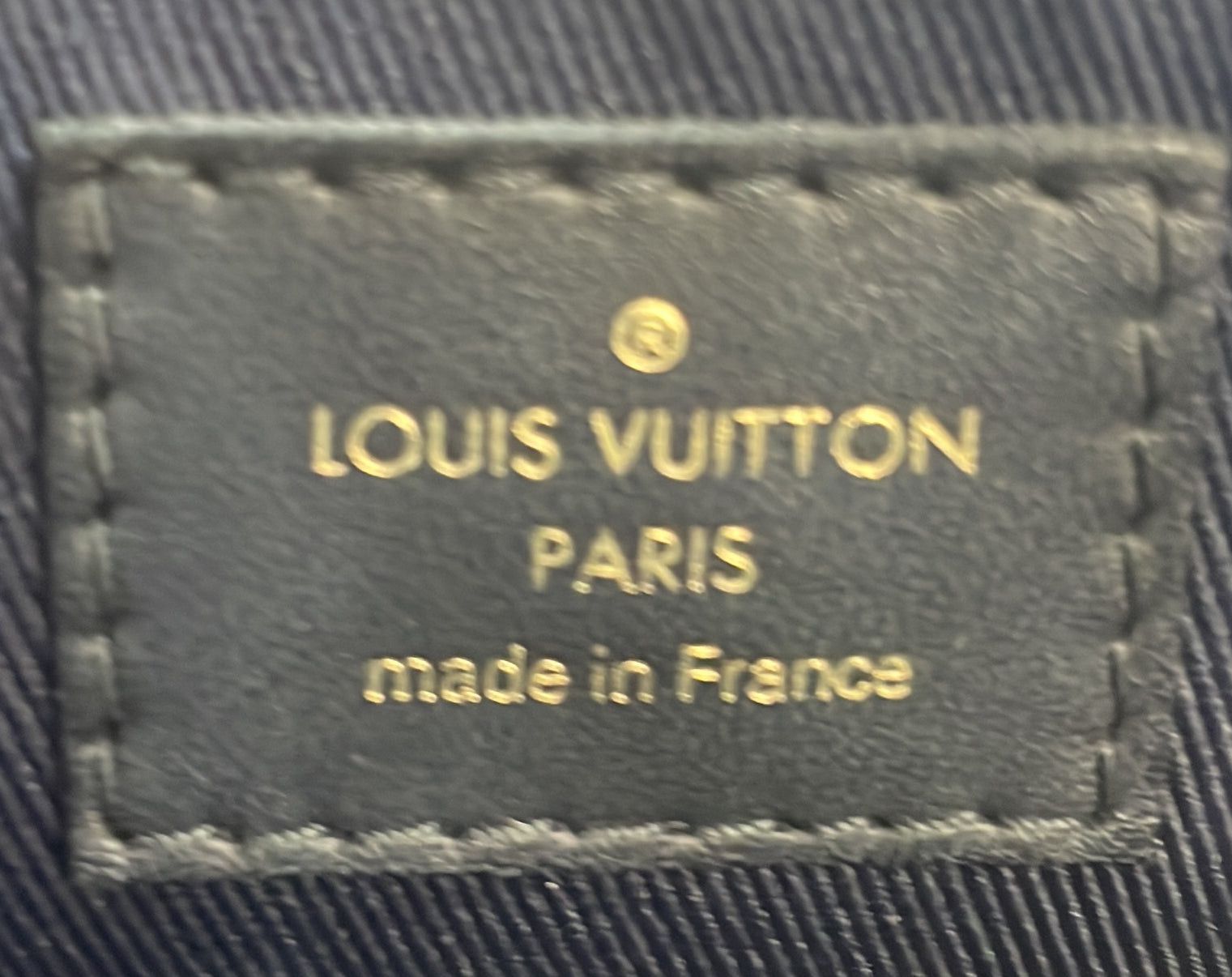 Louis Vuitton Georges Handbag Size ONE SIZE - 7 Thumbnail