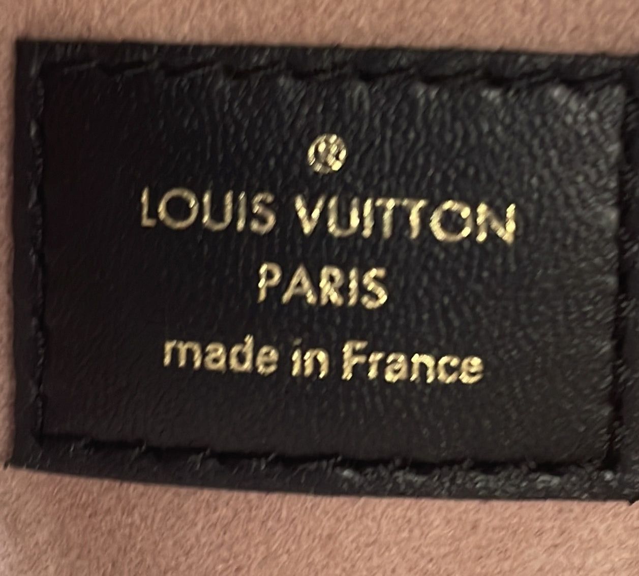 Louis Vuitton Coussin Bag Size ONE SIZE - 7 Thumbnail