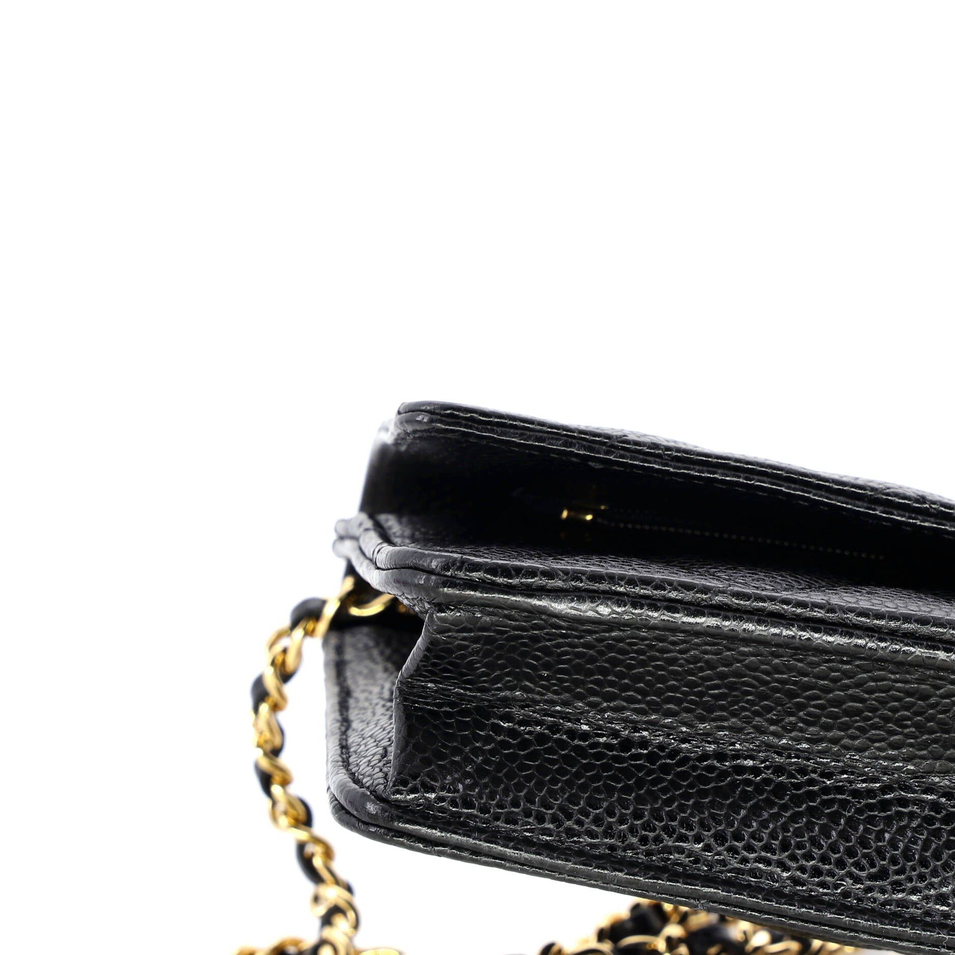 Chanel Wallet on Chain Size ONE SIZE - 6 Thumbnail