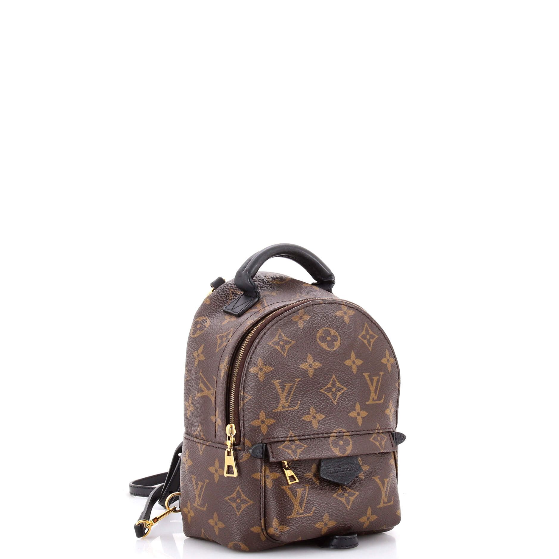 Louis Vuitton Palm Springs Backpack Size ONE SIZE - 2 Thumbnail