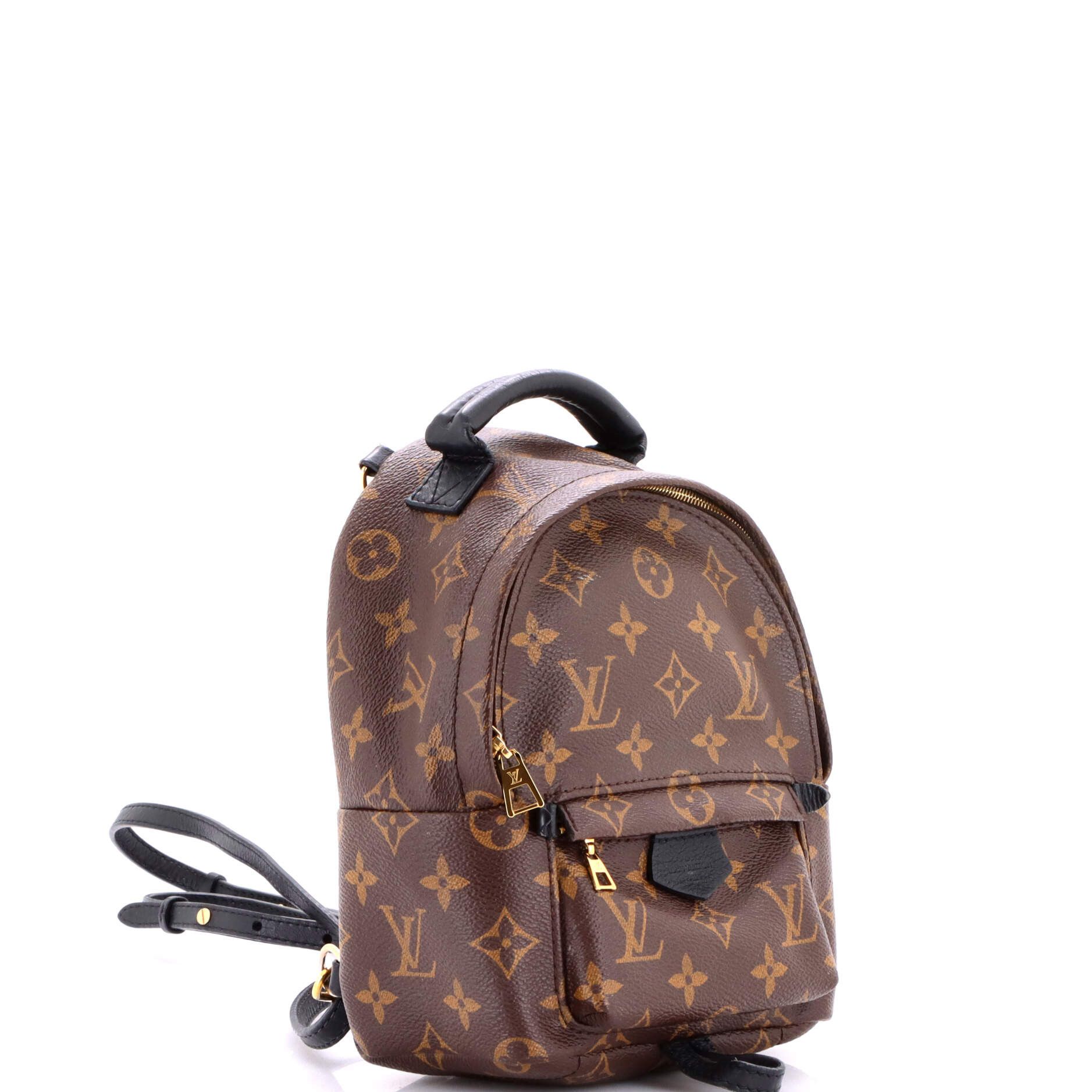 Louis Vuitton Palm Springs Backpack Size ONE SIZE - 2 Thumbnail