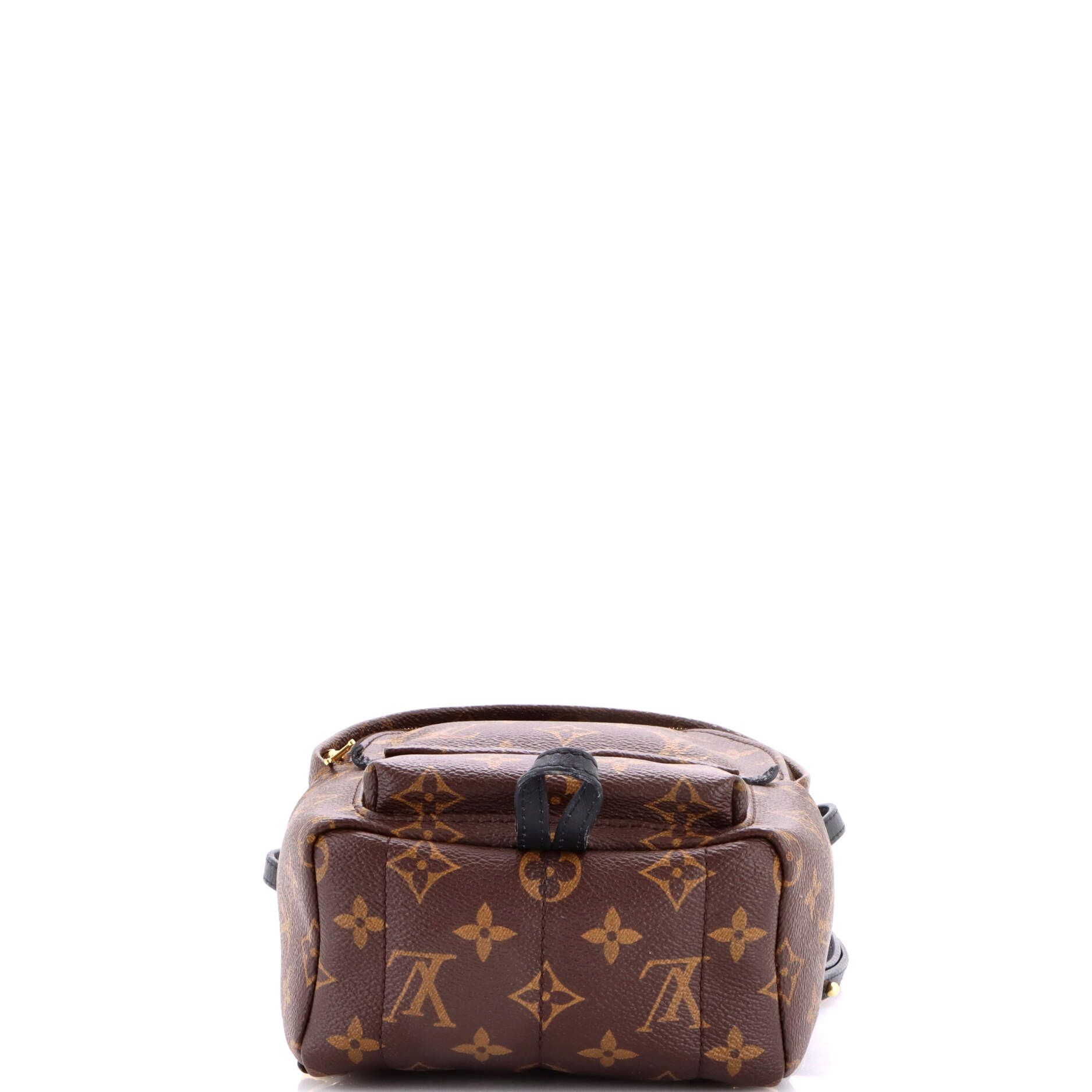 Louis Vuitton Palm Springs Backpack Size ONE SIZE - 4 Thumbnail