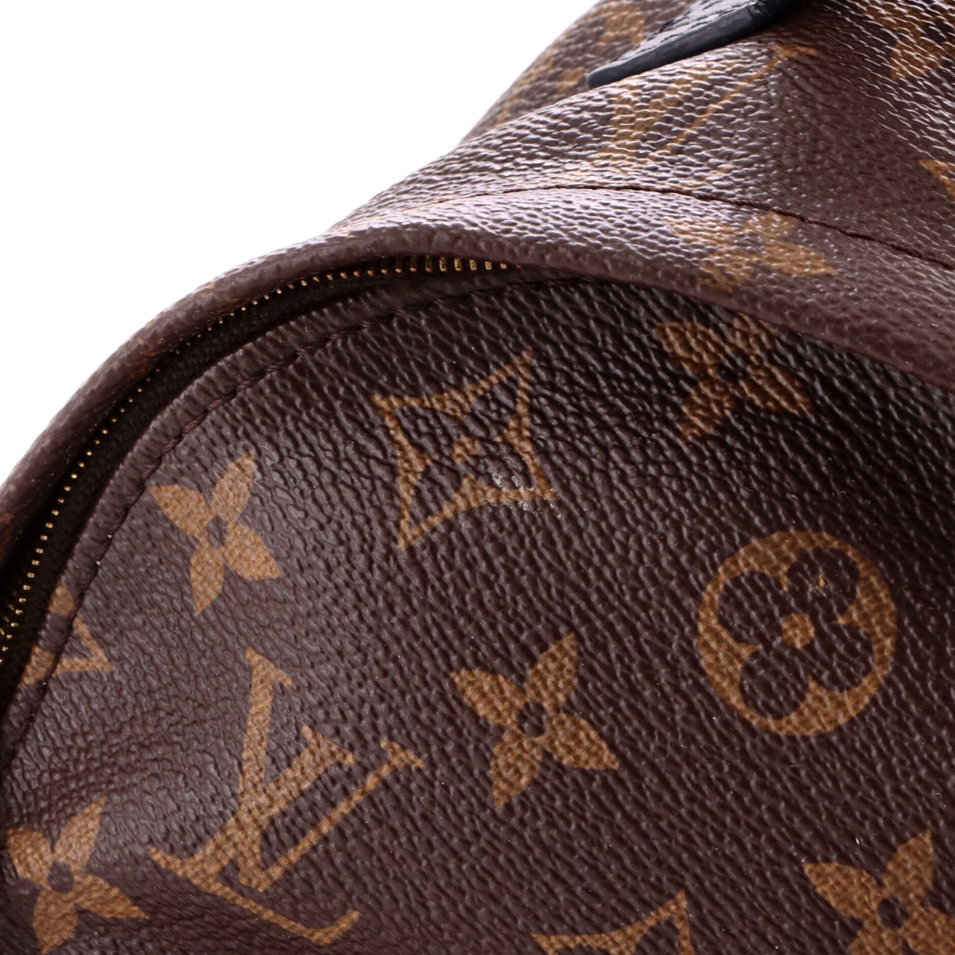 Louis Vuitton Palm Springs Backpack Size ONE SIZE - 6 Thumbnail