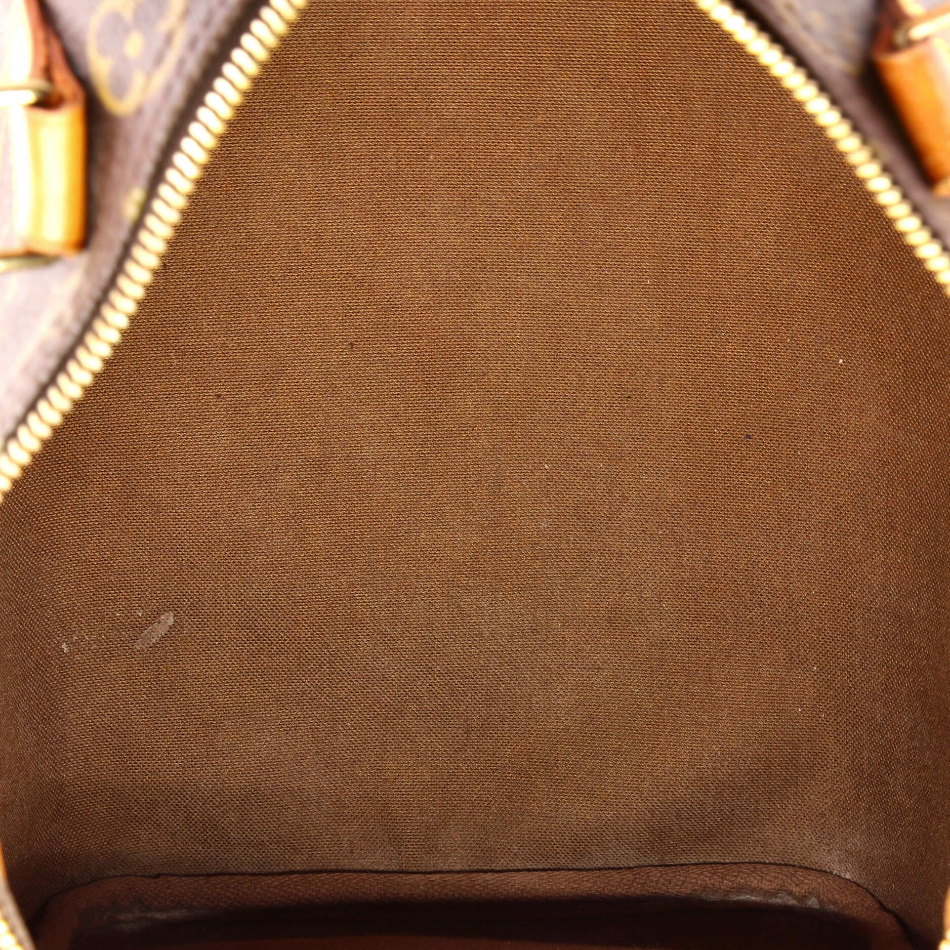 Louis Vuitton Speedy Handbag Size ONE SIZE - 5 Thumbnail
