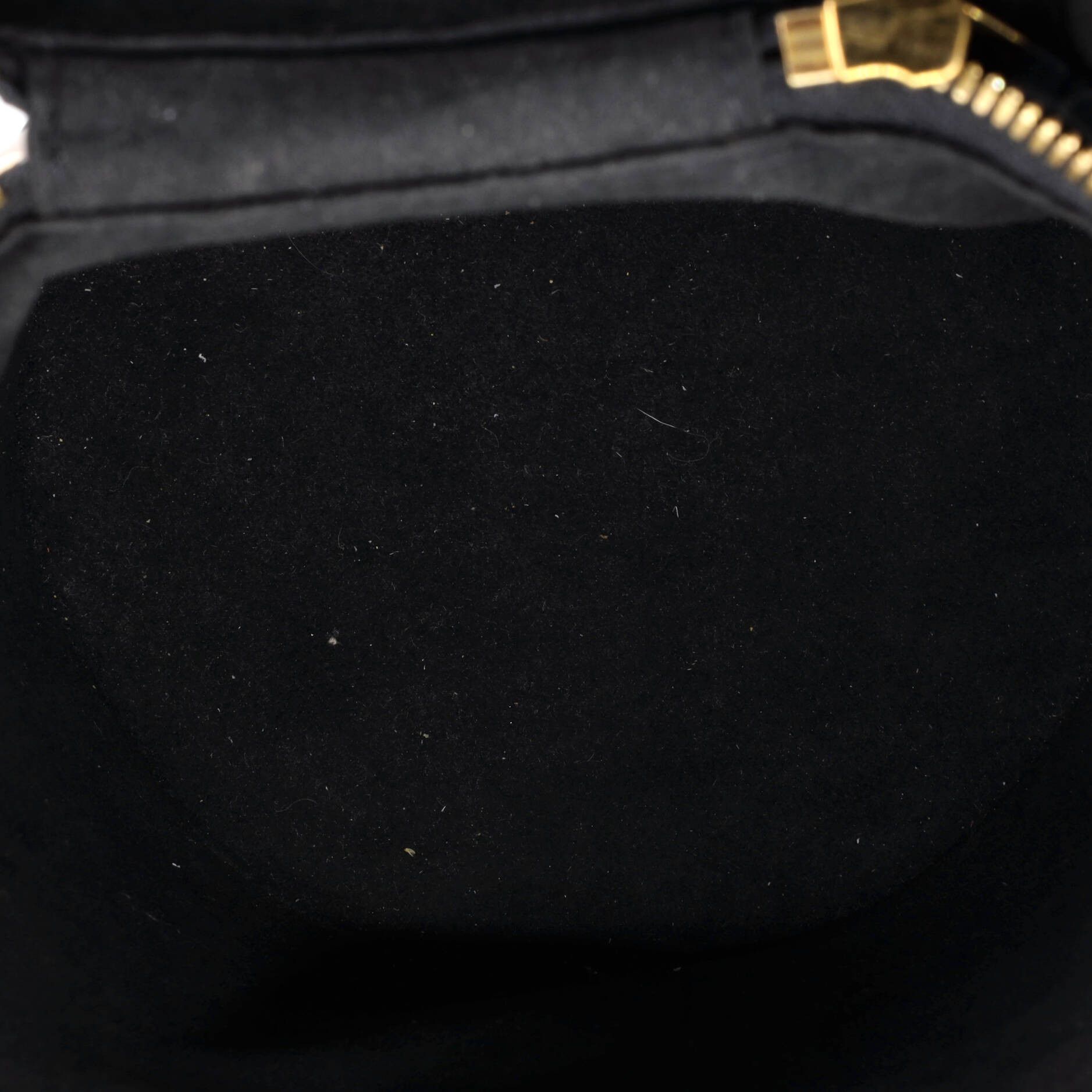 Louis Vuitton Cannes Handbag Size ONE SIZE - 5 Thumbnail