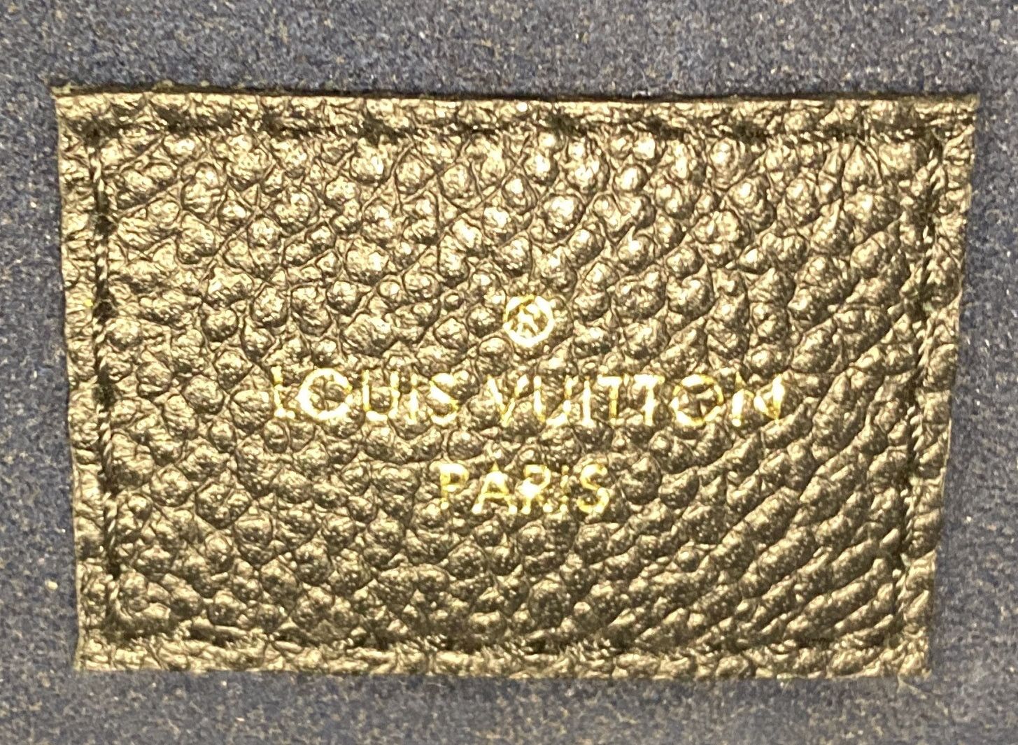 Louis Vuitton CarryAll Hobo Size ONE SIZE - 8 Thumbnail