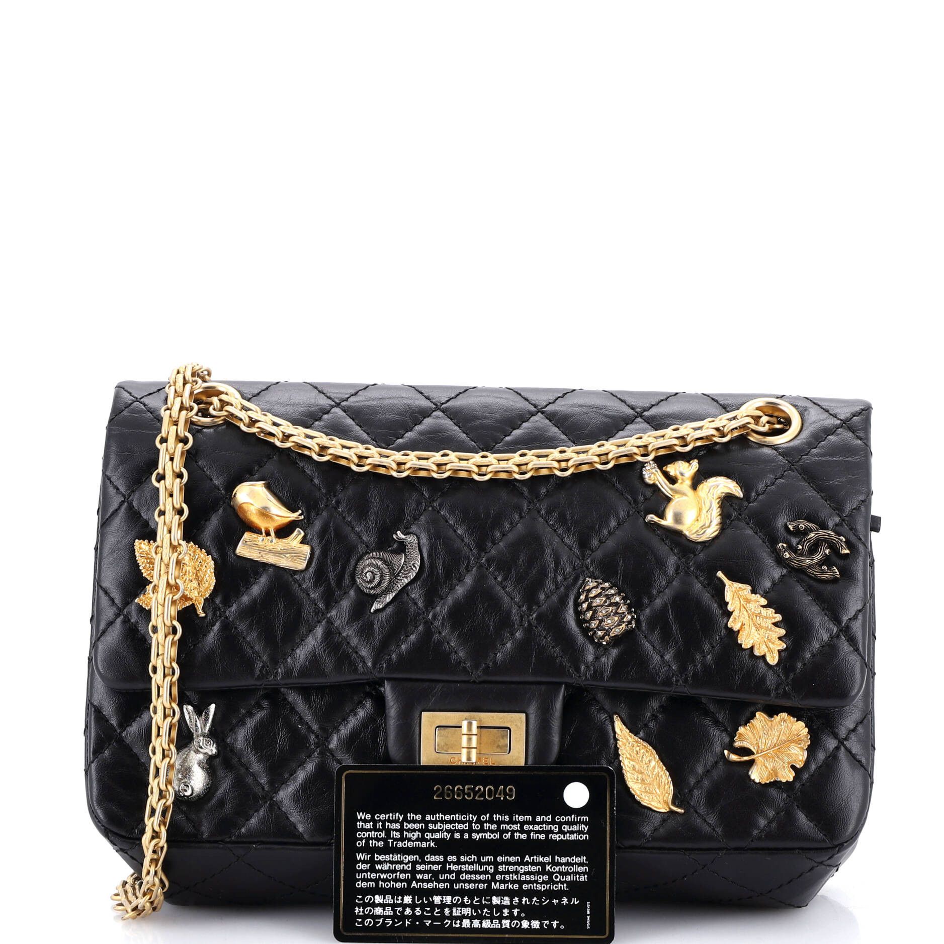 Chanel Lucky Charms Reissue 2.55 Flap Bag Size ONE SIZE - 2 Thumbnail