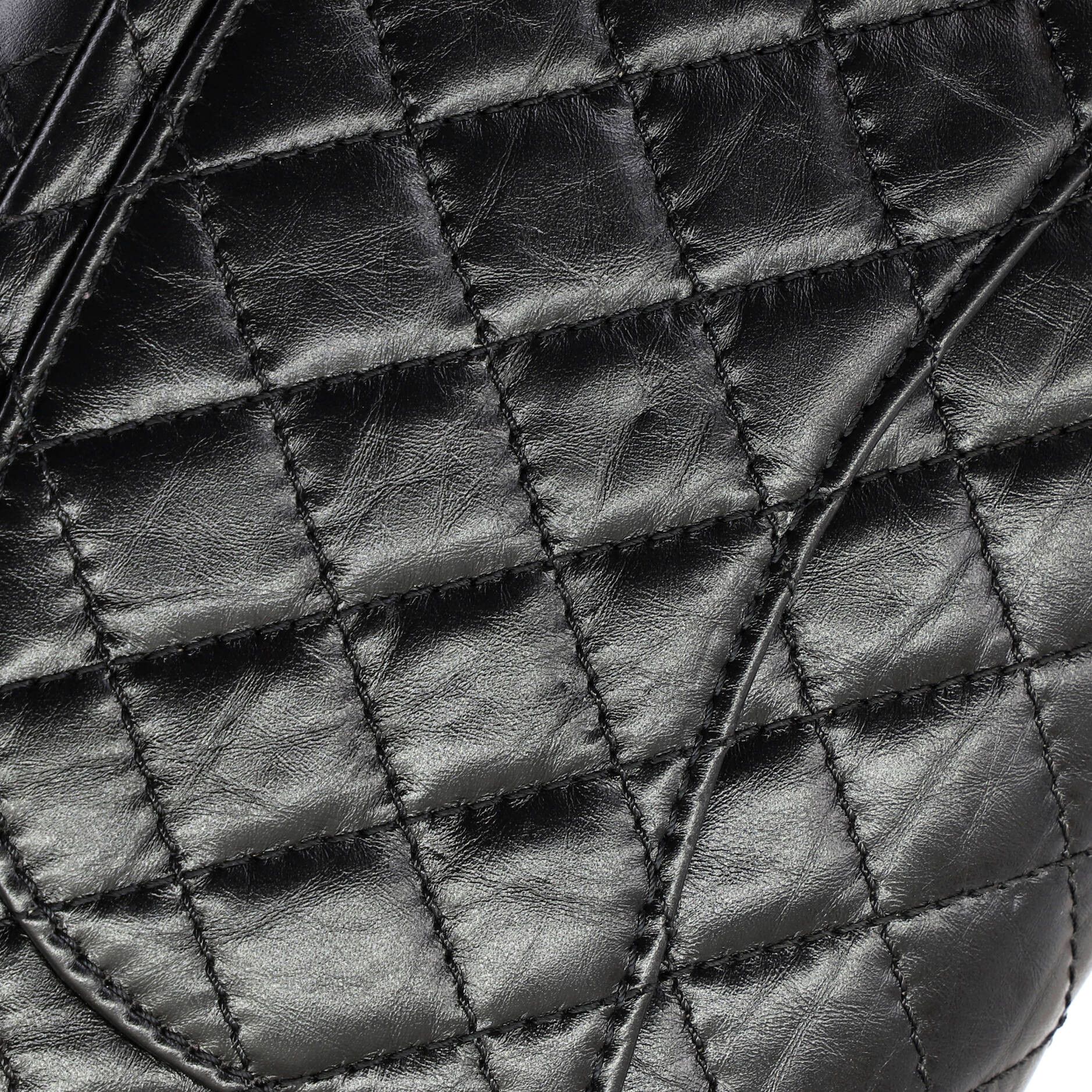 Chanel Lucky Charms Reissue 2.55 Flap Bag Size ONE SIZE - 8 Thumbnail