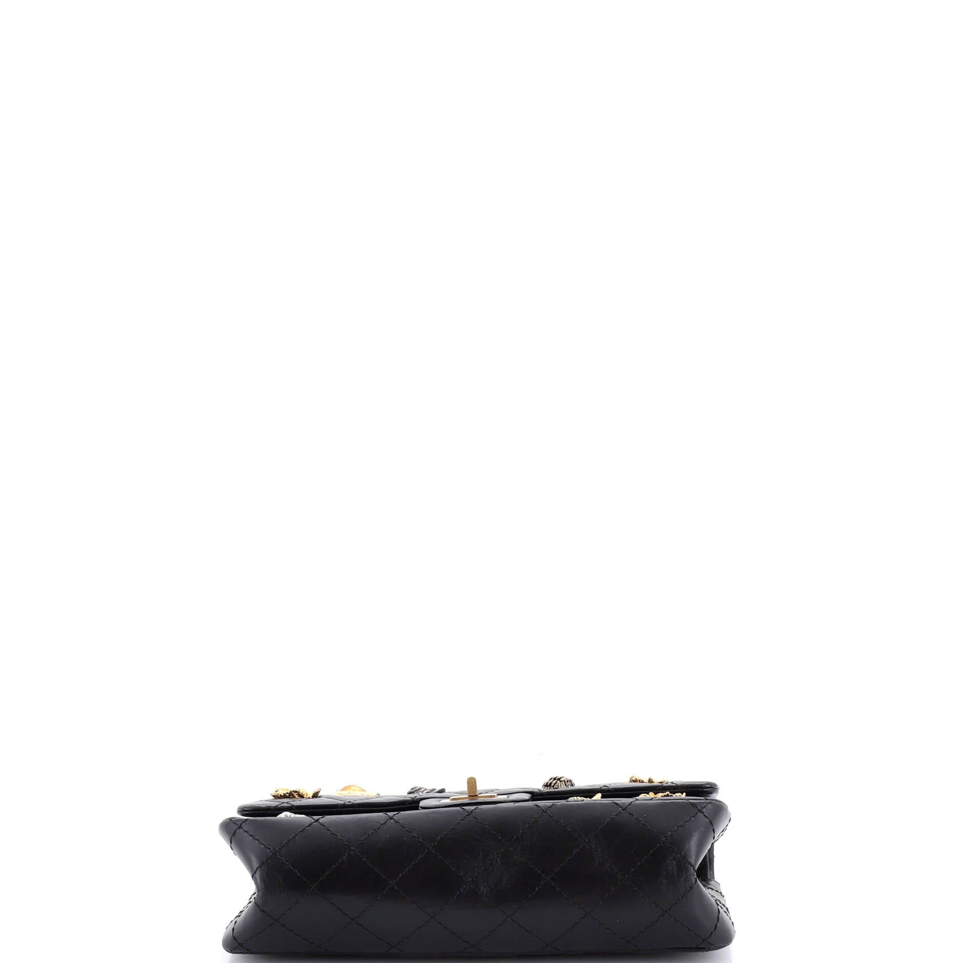 Chanel Lucky Charms Reissue 2.55 Flap Bag Size ONE SIZE - 5 Thumbnail