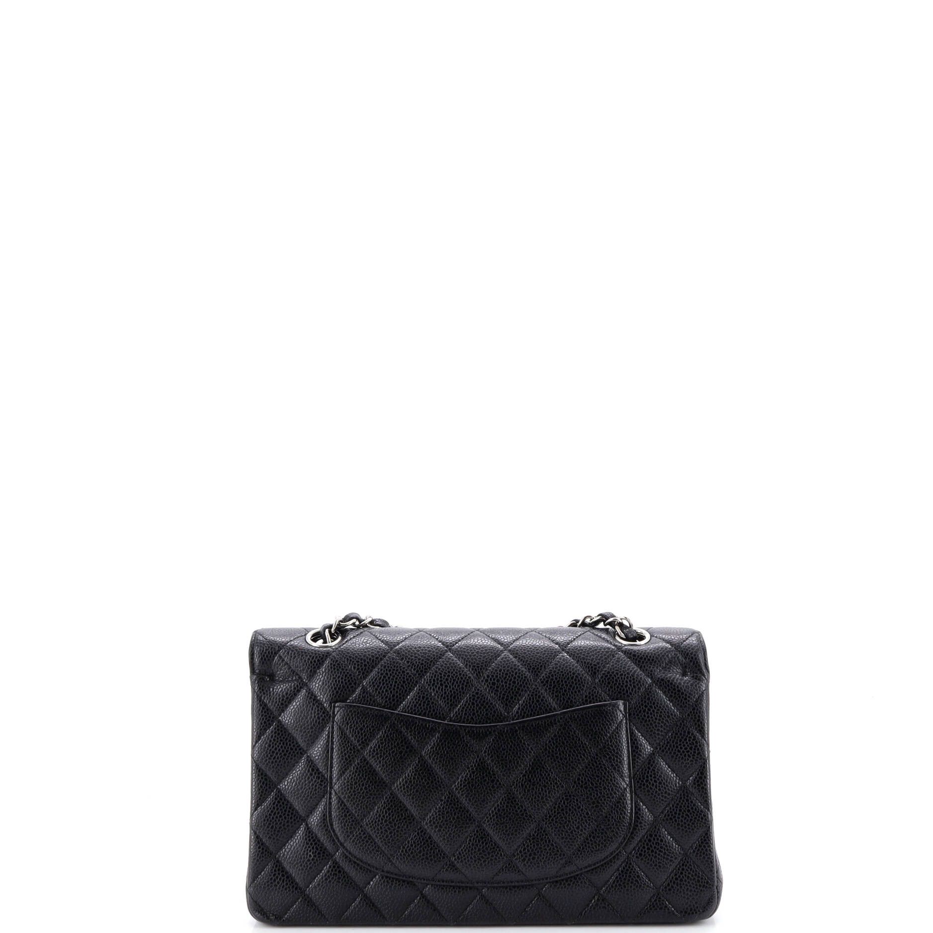 Chanel Classic Double Flap Bag Size ONE SIZE - 4 Thumbnail