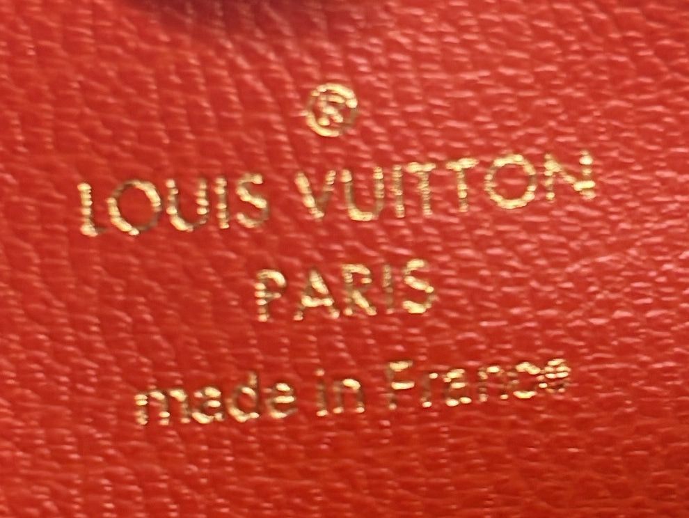 Louis Vuitton Coussin Bag Size ONE SIZE - 7 Thumbnail
