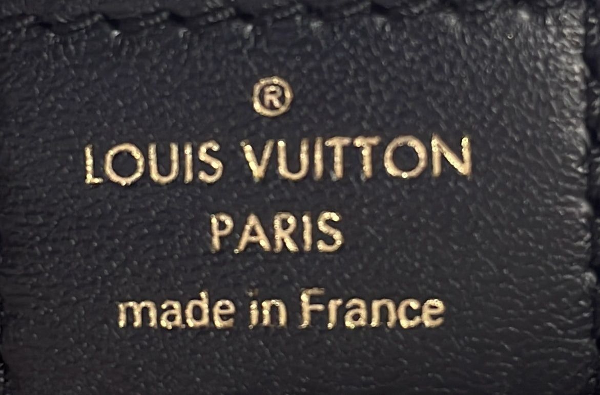 Louis Vuitton Coussin Bag Size ONE SIZE - 7 Thumbnail