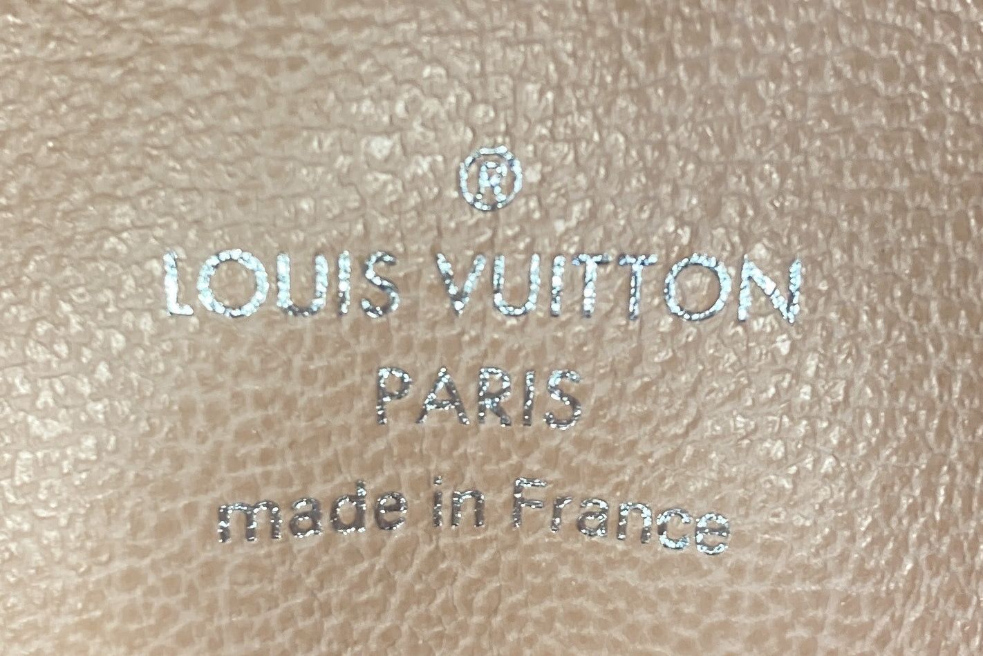 Louis Vuitton Coussin Bag Size ONE SIZE - 7 Thumbnail