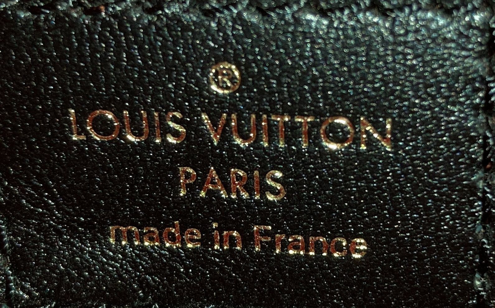 Louis Vuitton Coussin Bag Size ONE SIZE - 6 Thumbnail
