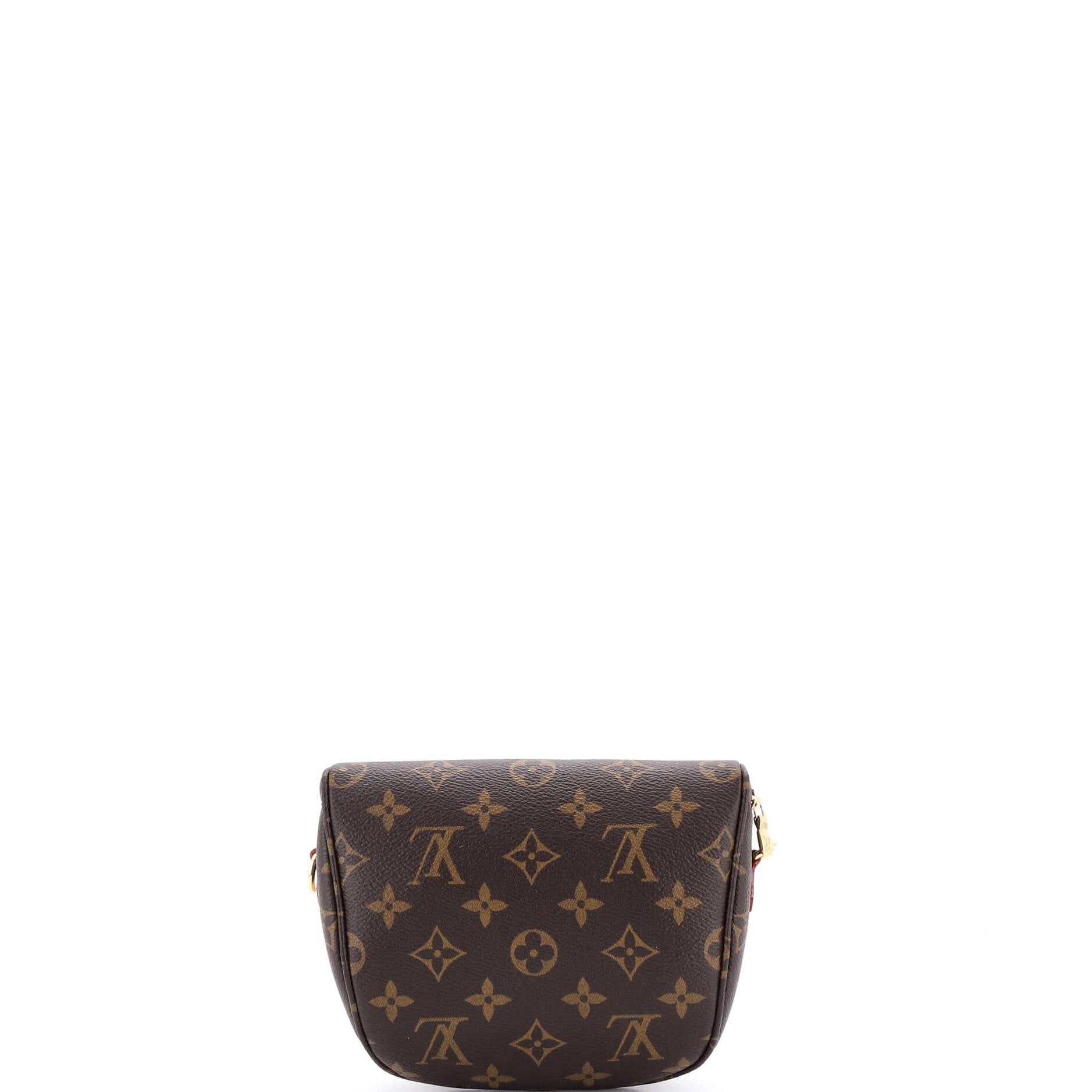 Louis Vuitton Bum Bag Size ONE SIZE - 3 Thumbnail