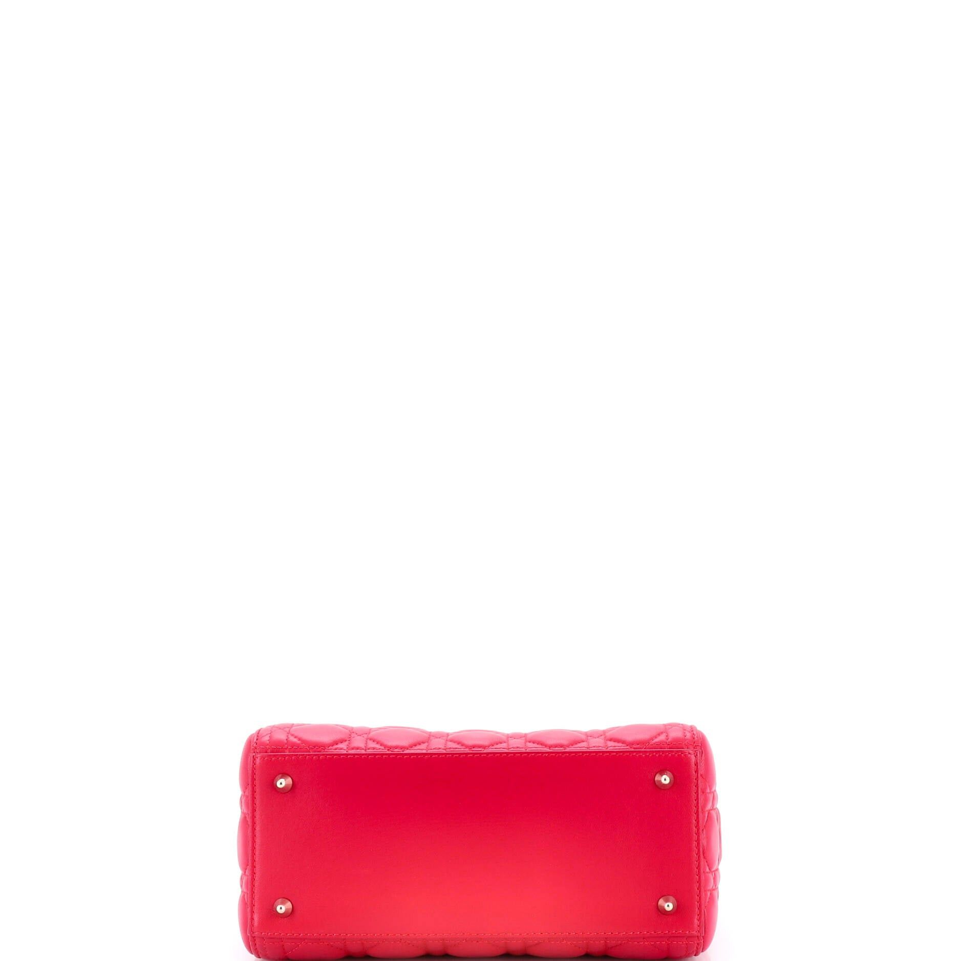 Dior Lady D-Lite Bag Size ONE SIZE - 4 Thumbnail